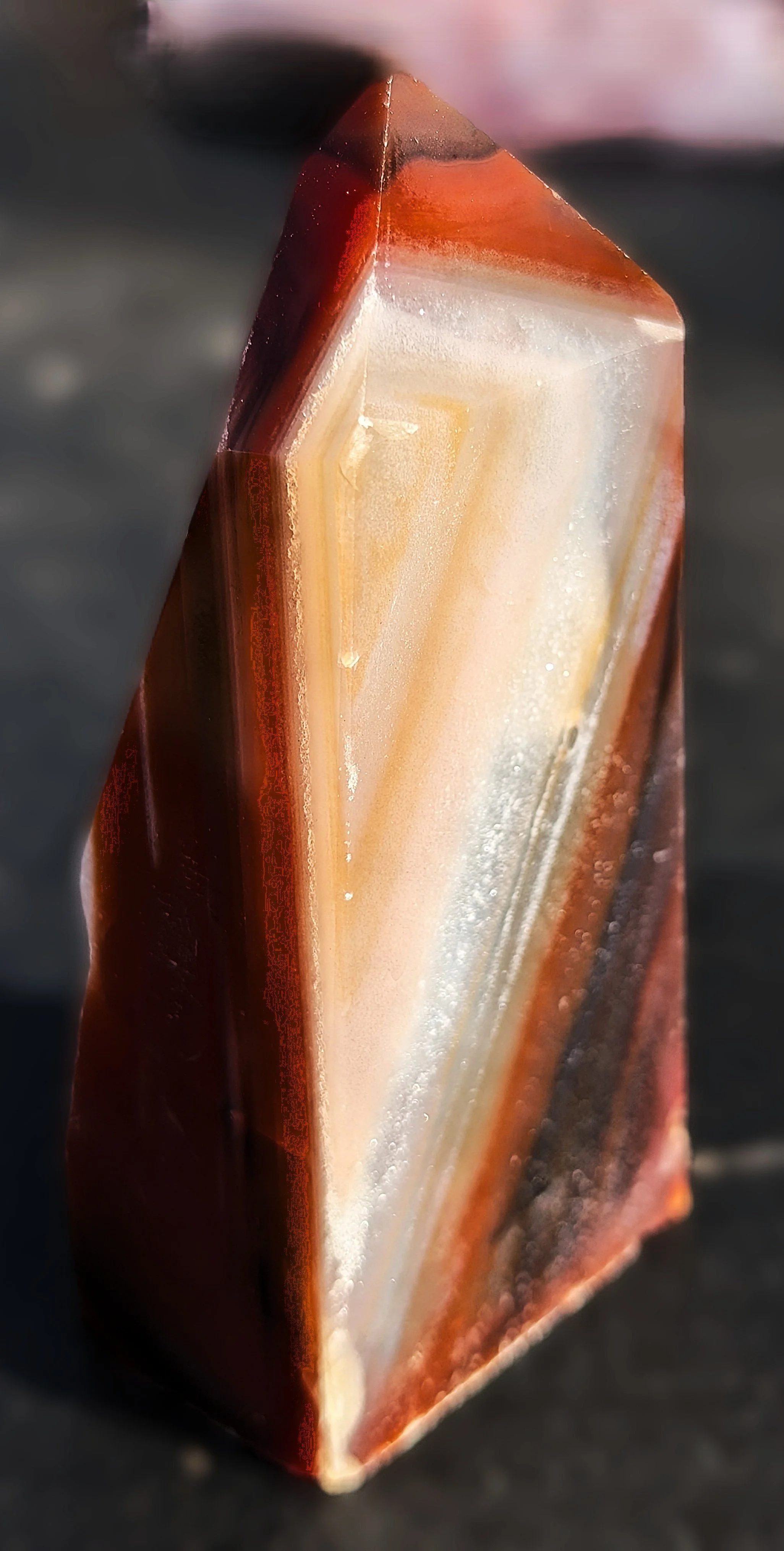 UNIT 031_Carnelian Tower 5.jpg