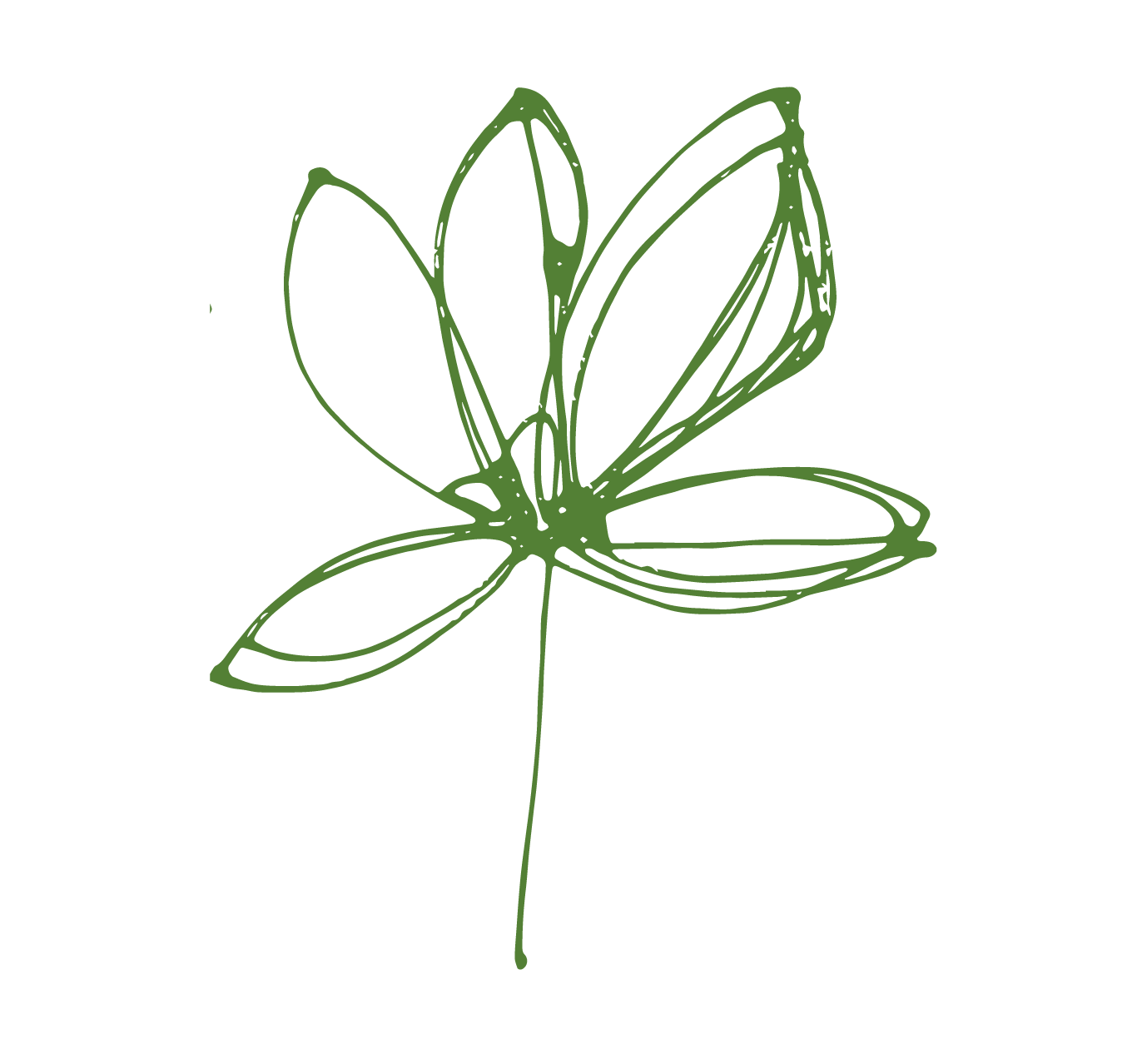 Line drawing of a single flower with multiple petals and a long stem, rendered in green on a black background.
