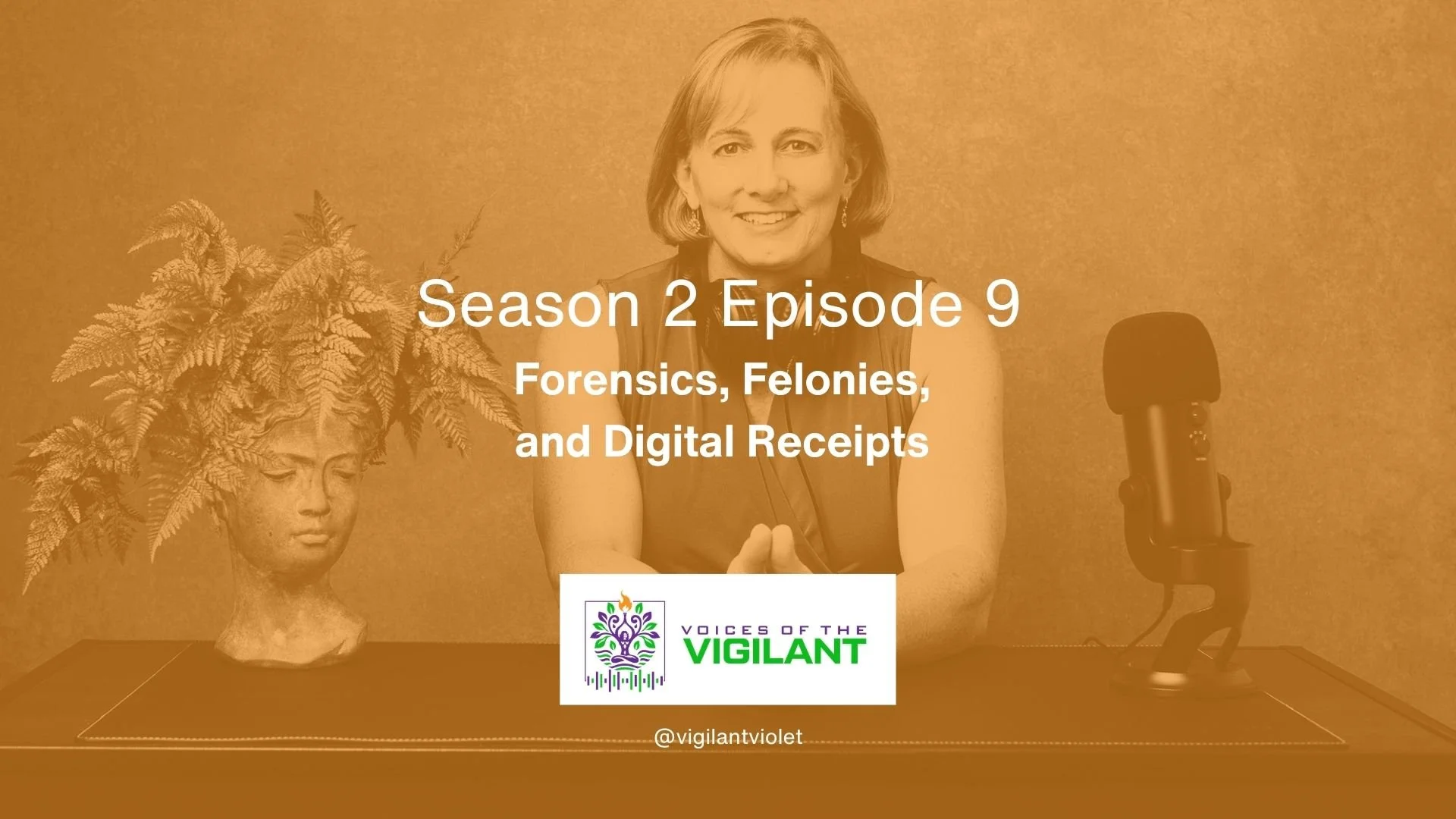 Voices of the Vigilant S2 EP9 | Forensics, Felonies, and Digital Receipts