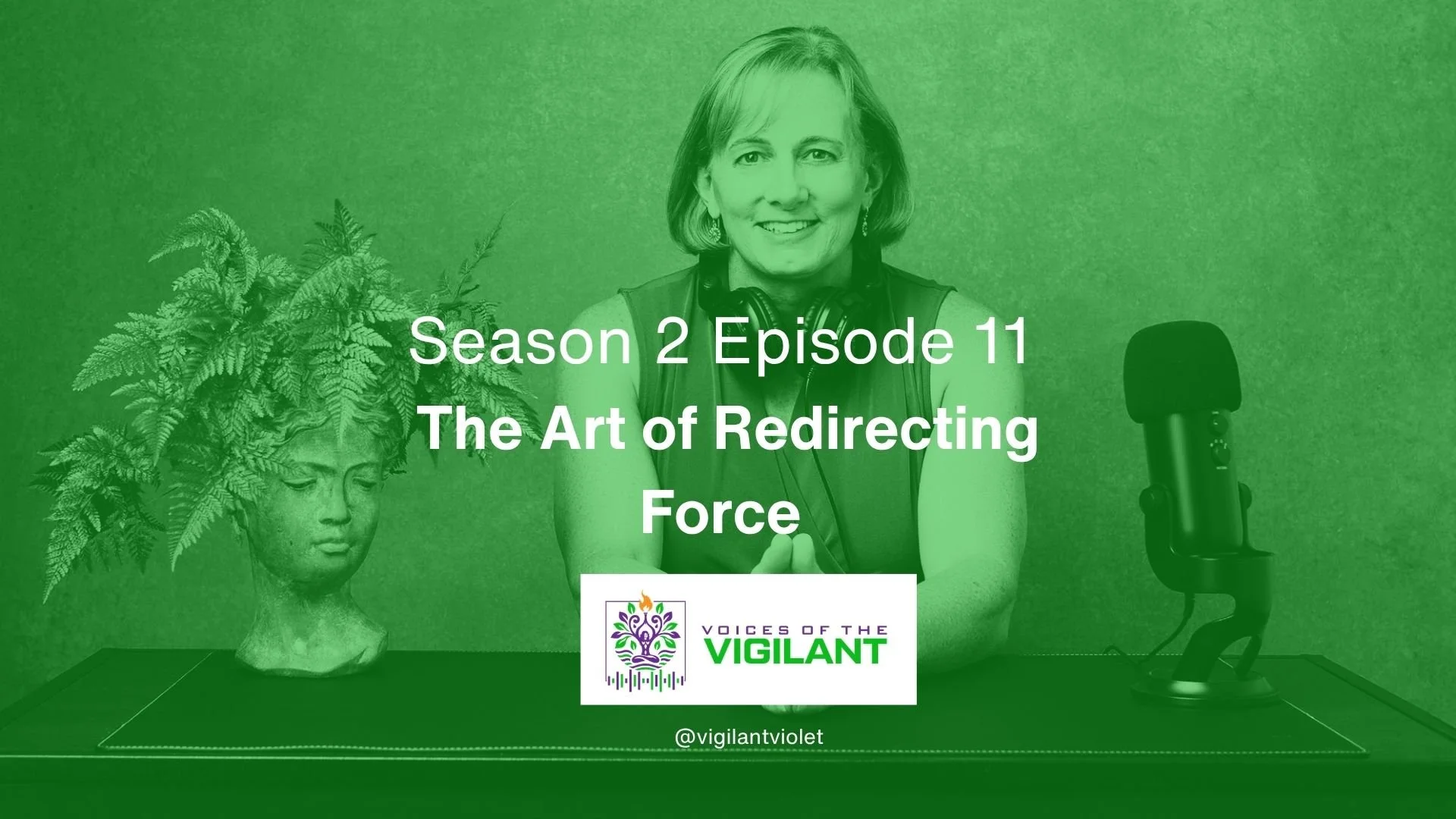 Voices of the Vigilant S2 EP11 | The Art of Redirecting Force