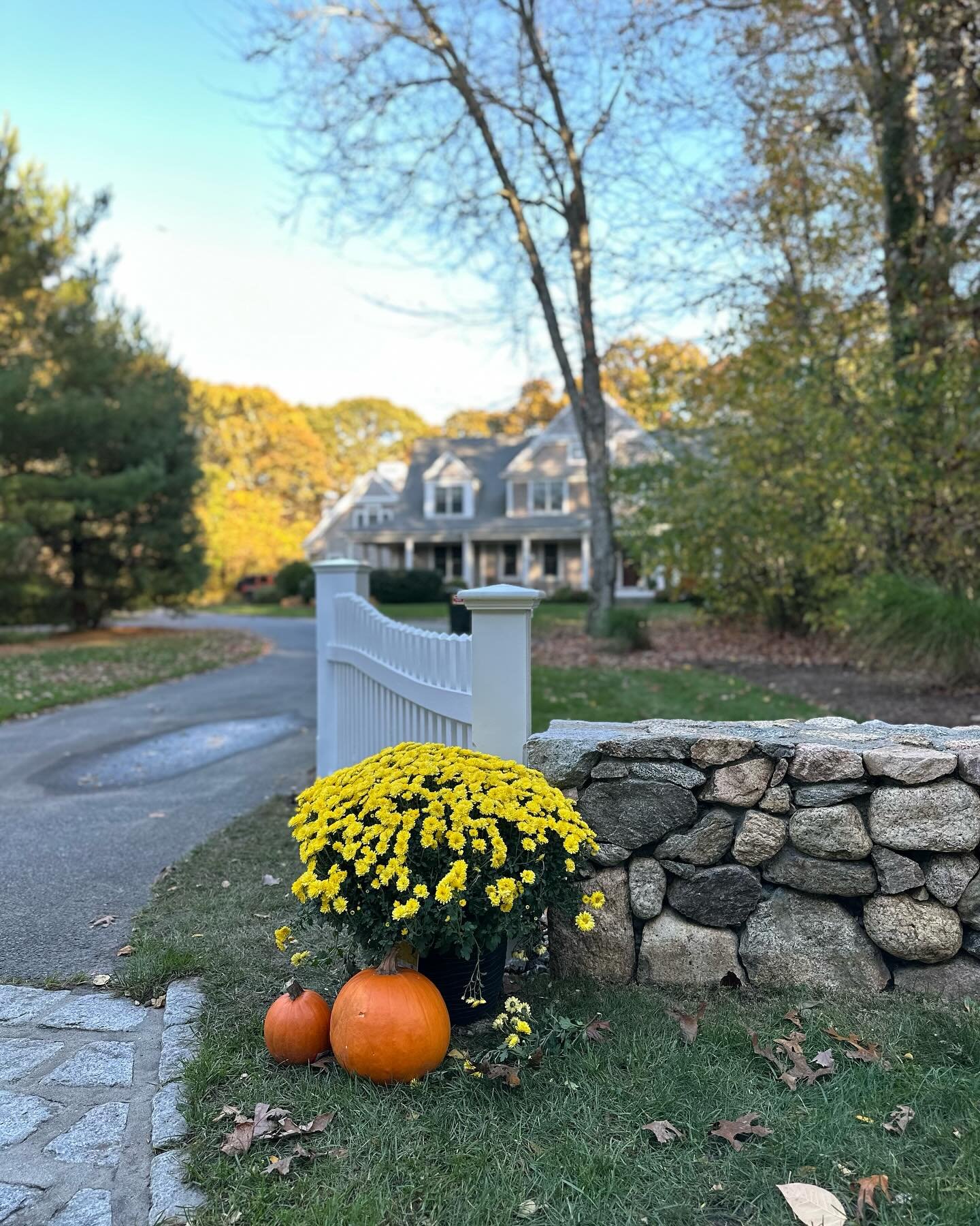 It&rsquo;s time for the most charming season of the year! 🍂🍁💐🎃 We gave the front gate a complete makeover. Huge thanks to our friends at @lourenco_brothers for coming over so quickly and trimming all the bushes for us. We also washed the stone wa