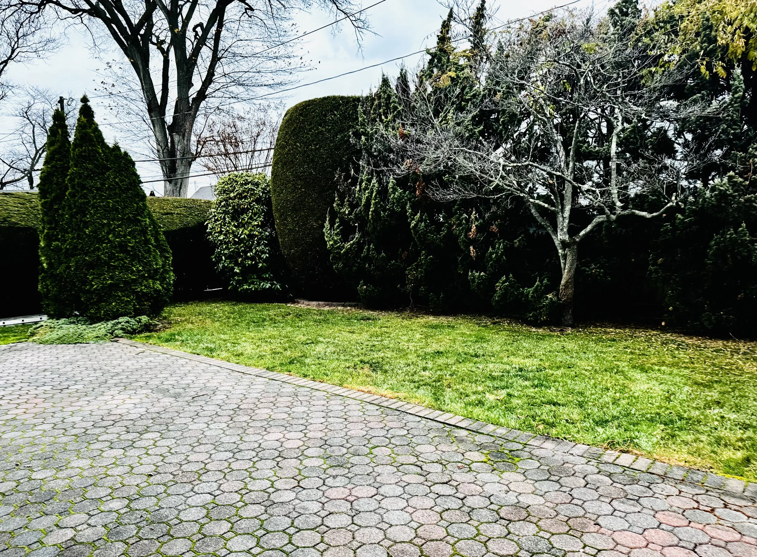 Backyard Pic 2.jpg
