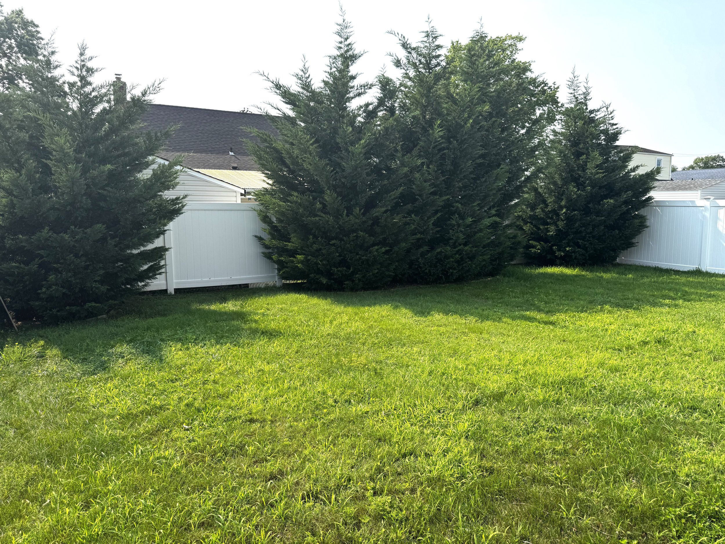 2312 Backyard1.jpeg