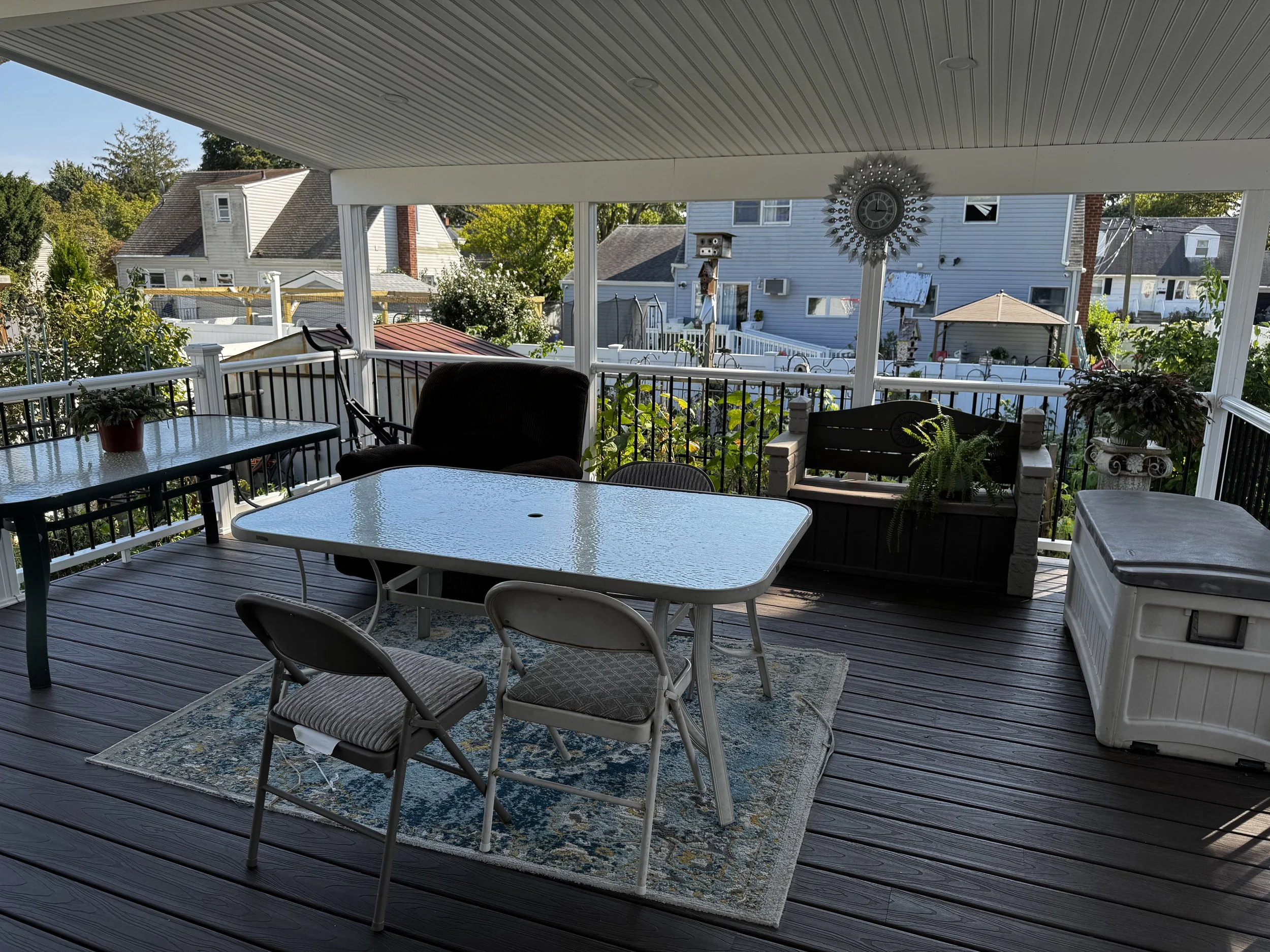 backyard 2.jpg