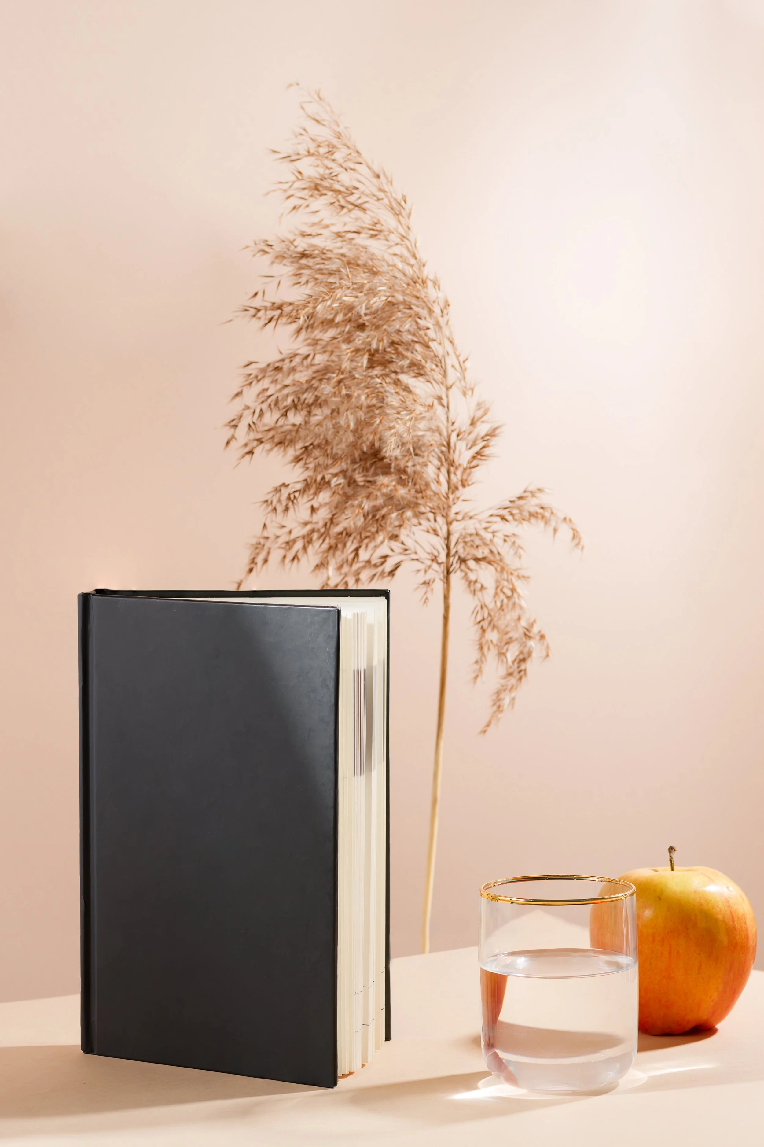 Lookbook & Editorial Design