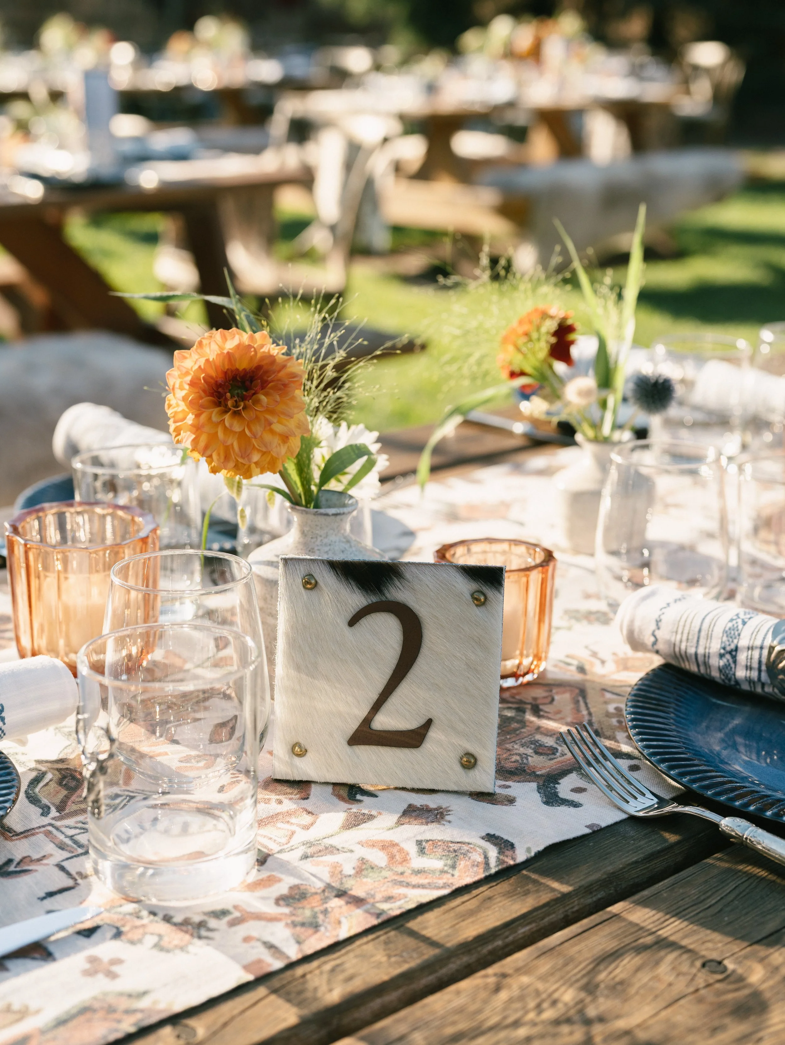 Wildflower welcome party in the mountains 