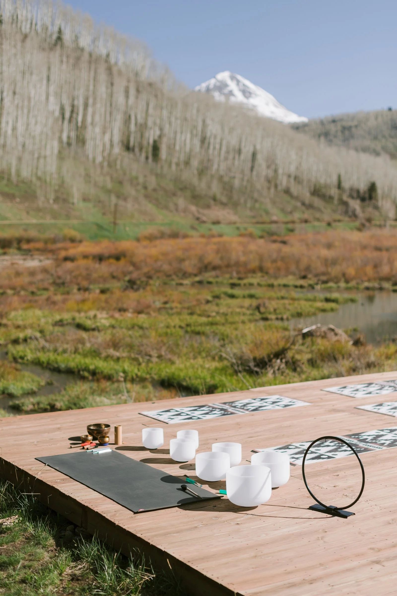 bash-please-dutton-ranch-corporate-retreat-crystal-singing-bowls-gong-sound-bath-setup-snow-capped-peak-corporate-retreat-production.jpg