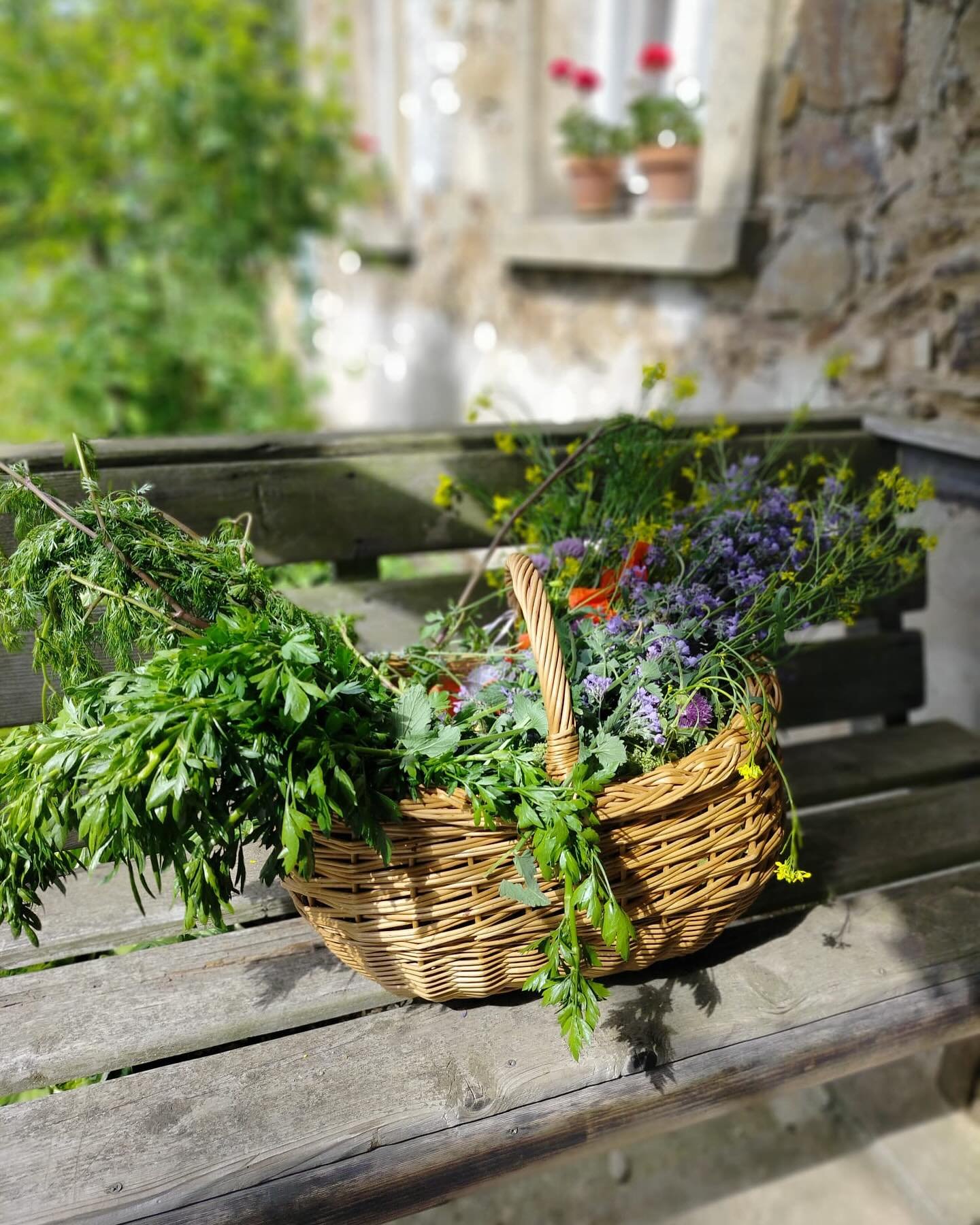 🌱 Have you ever tried nettle soup? We&rsquo;re absolutely in love with it! Spring is the perfect time to harvest its young shoots and enjoy both the taste and its many health benefits.

In Tarczyn, the herb harvest is in full swing &mdash; and not j