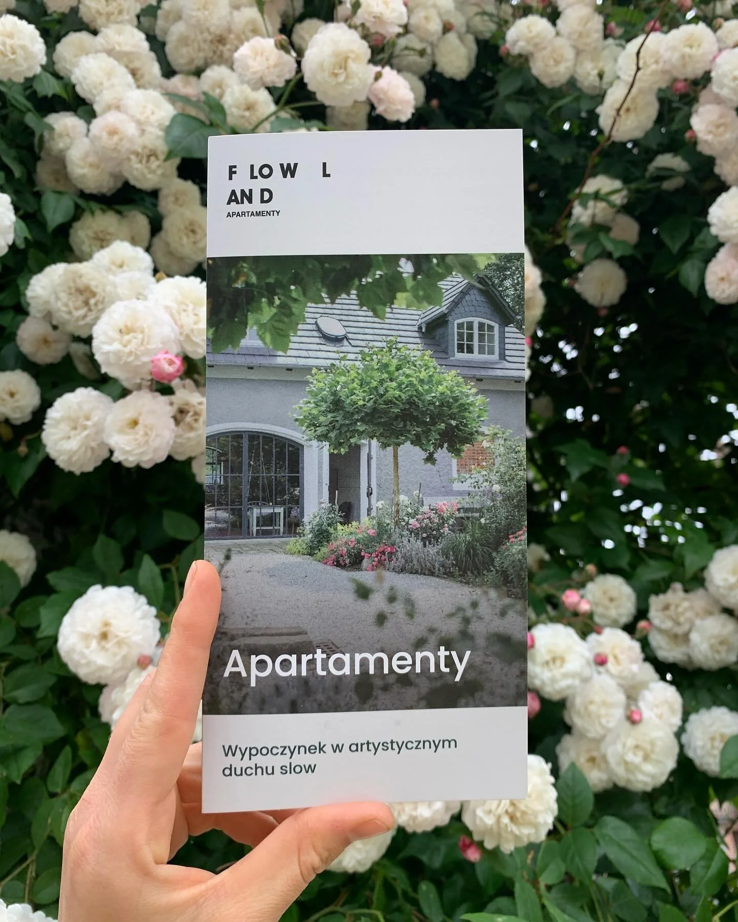 **Rest and Recharge in the Artistic Spirit of Slow Living 🌿**

Born out of love for the history and cultural heritage of the Western Sudetes, we&rsquo;ve created a place where life moves at a gentler pace &mdash; in harmony with nature and art.

We 