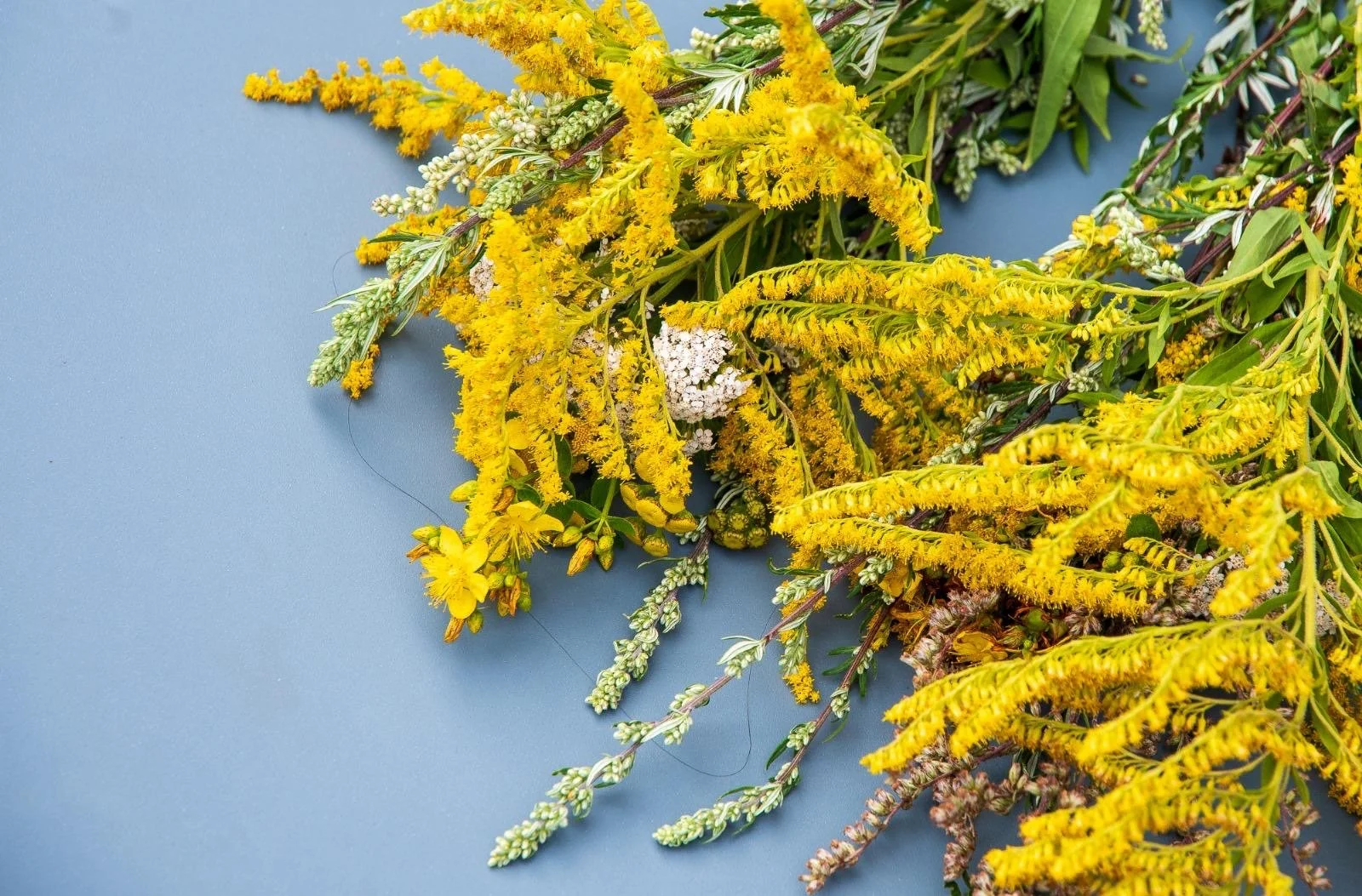 Assorted yellow wildflowers on blue background