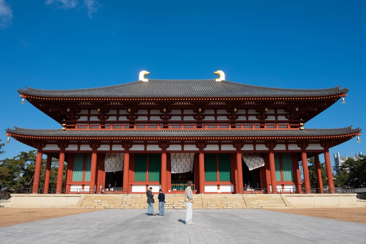 Nara travel log 🦌

#奈良観光 #photography 
#japan