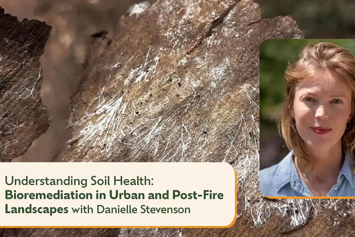 Understanding Soil Health: Bioremediation in Urban and Post-Fire Landscapes with Danielle Stevenson (Webinar)