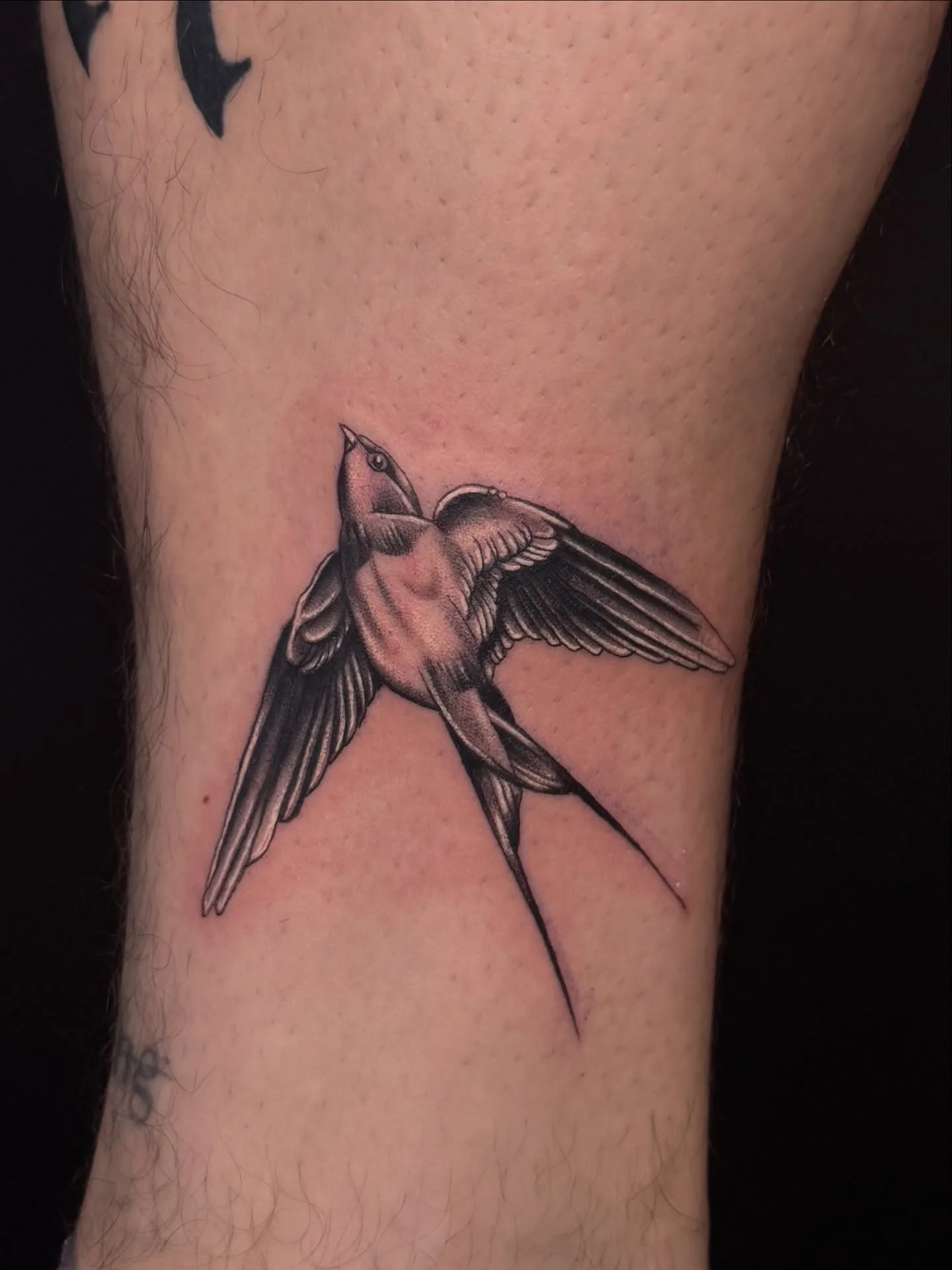 Swallow - a symbol of freedom, hope and homecoming. Once worn by sailors as a sign of a safe journey, today it is a classic that never goes out of fashion. ✨
Sometimes a small, simple form says the most.

Do you also have a symbol of your own that yo