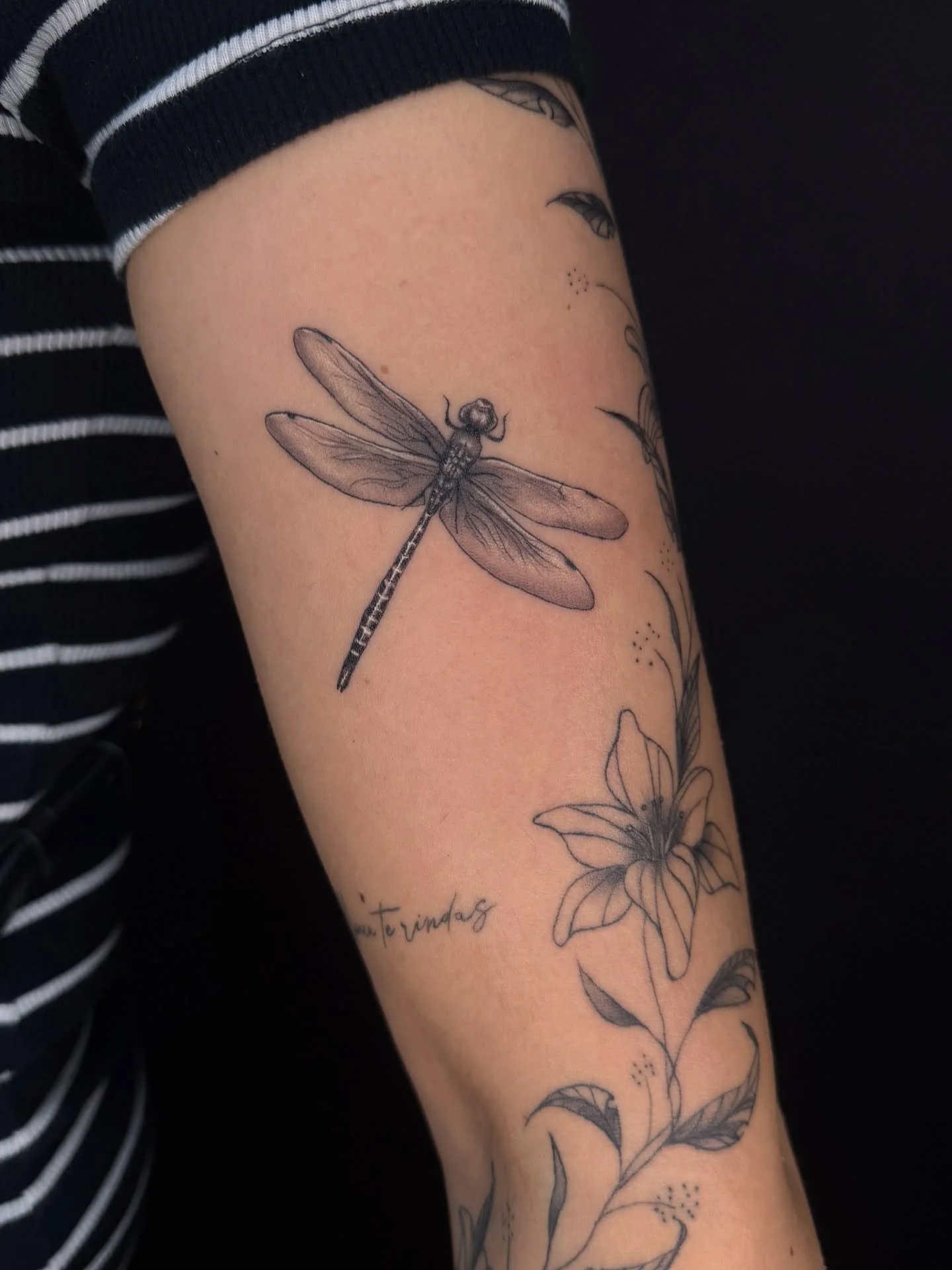 Delicate, yet predatory.Dragonfly &ndash; a symbol of transformation and lightness hidden in it. ✨🦋#tattoofineline #tattooinsect #dragonflytattoo#realismtattoo #tattooideas