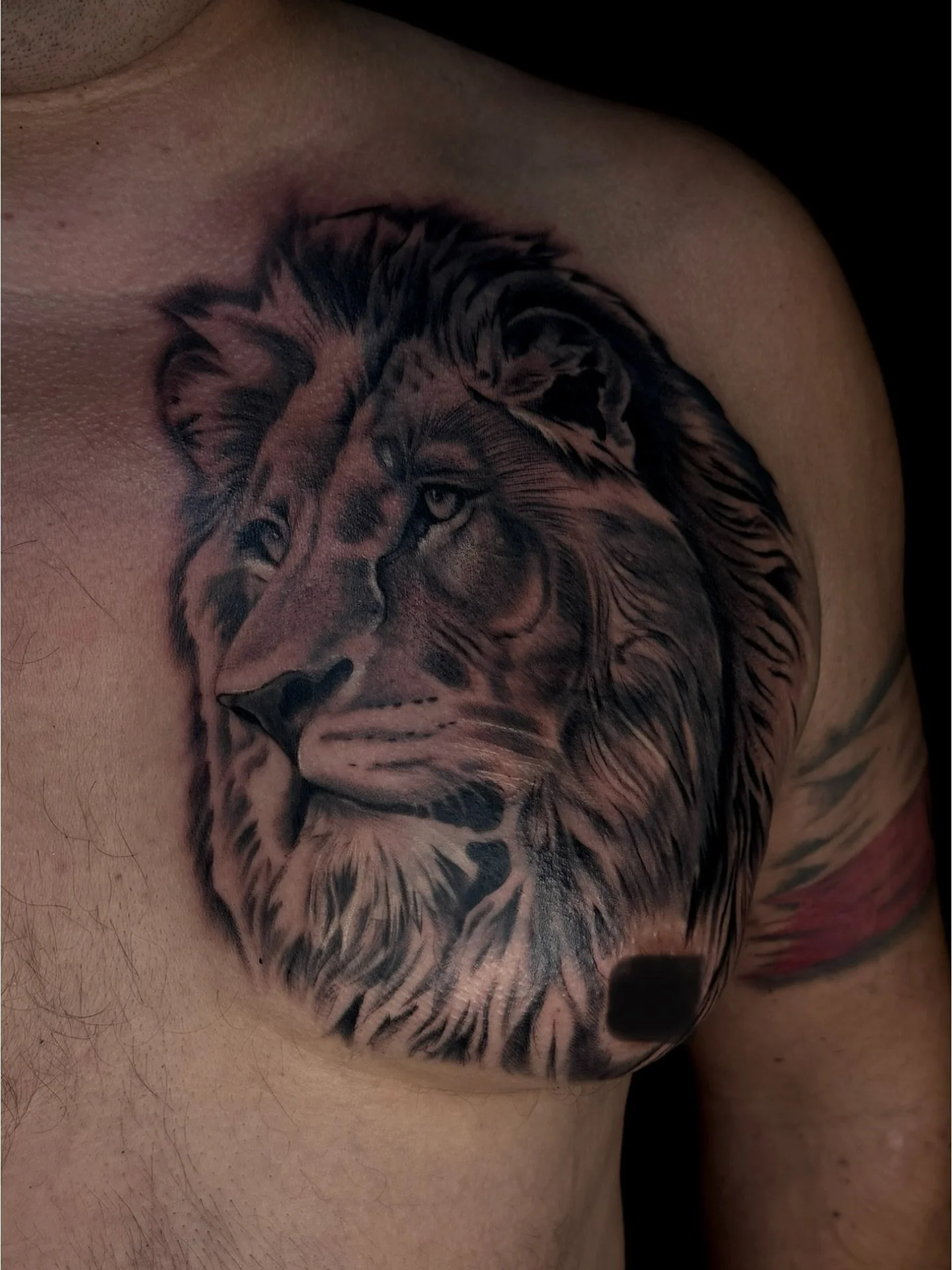 The universe gives us chance everyday 🕉️🪐#liontattoos #tattoocoverup #tattoos #tattooidea #besttattoostyles #tattoorealistic