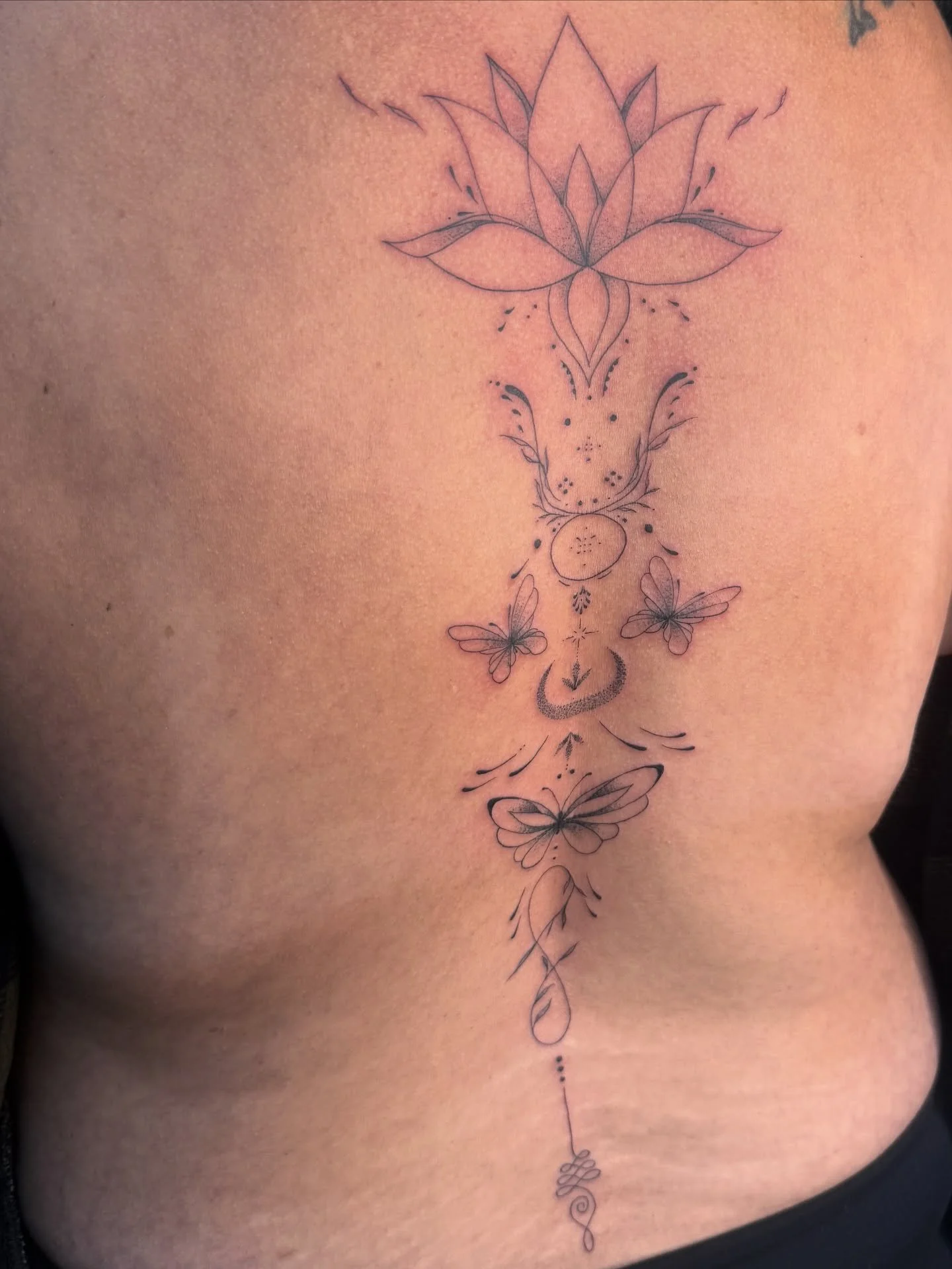 Fine line ornamental backpiece for @carolavdlangenberg 
#finelinetattoo #finelinetattoos #tattoodesign #finelinewomantattoo #tattooidea #femininetattoo