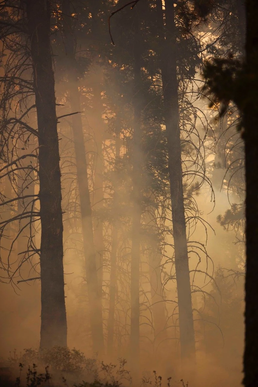Fire_1308010_2X7A8857.JPEG