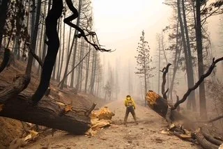 Fire_1308010__F6A0430.JPEG