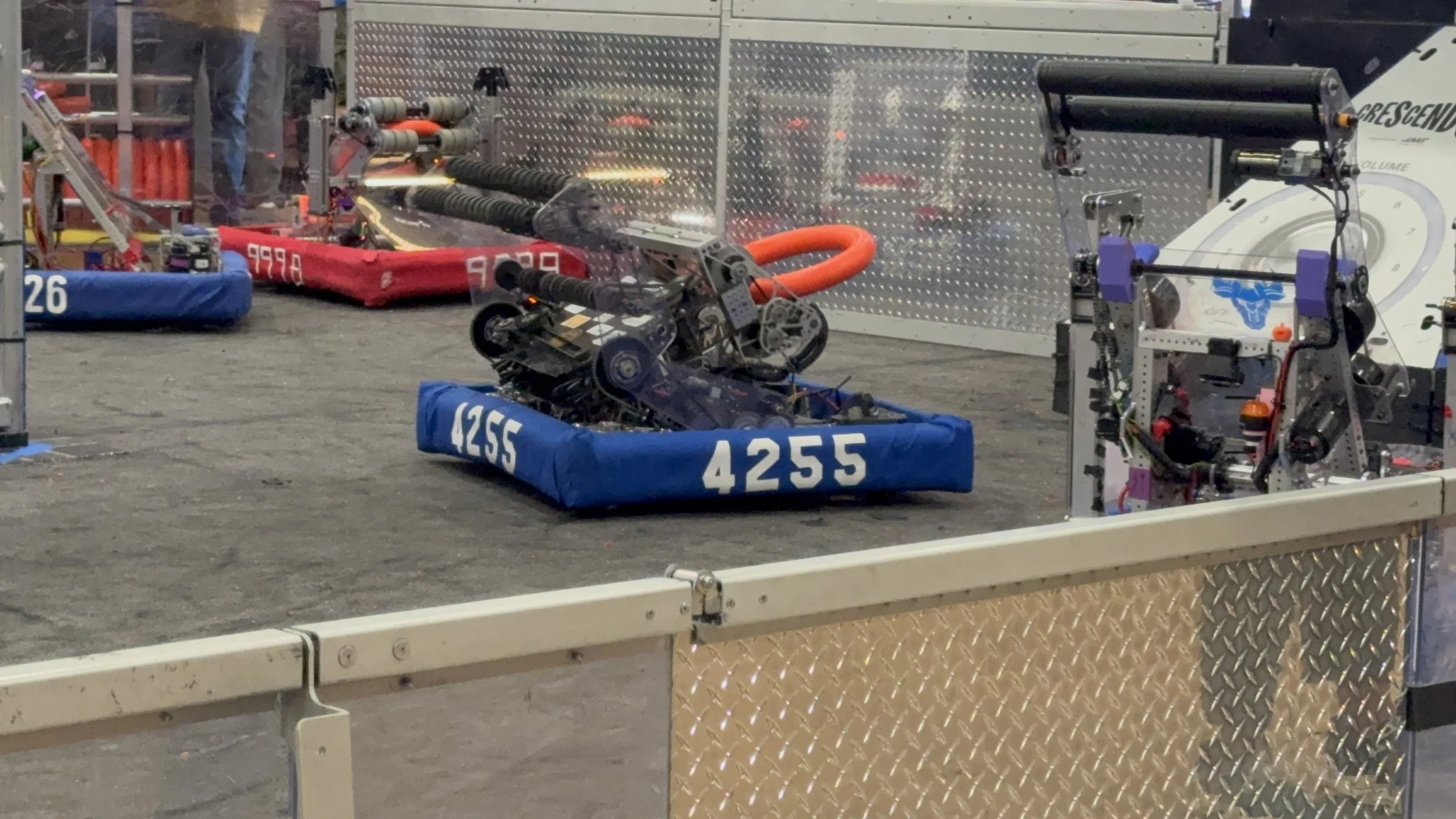 IMG_4461.jpeg