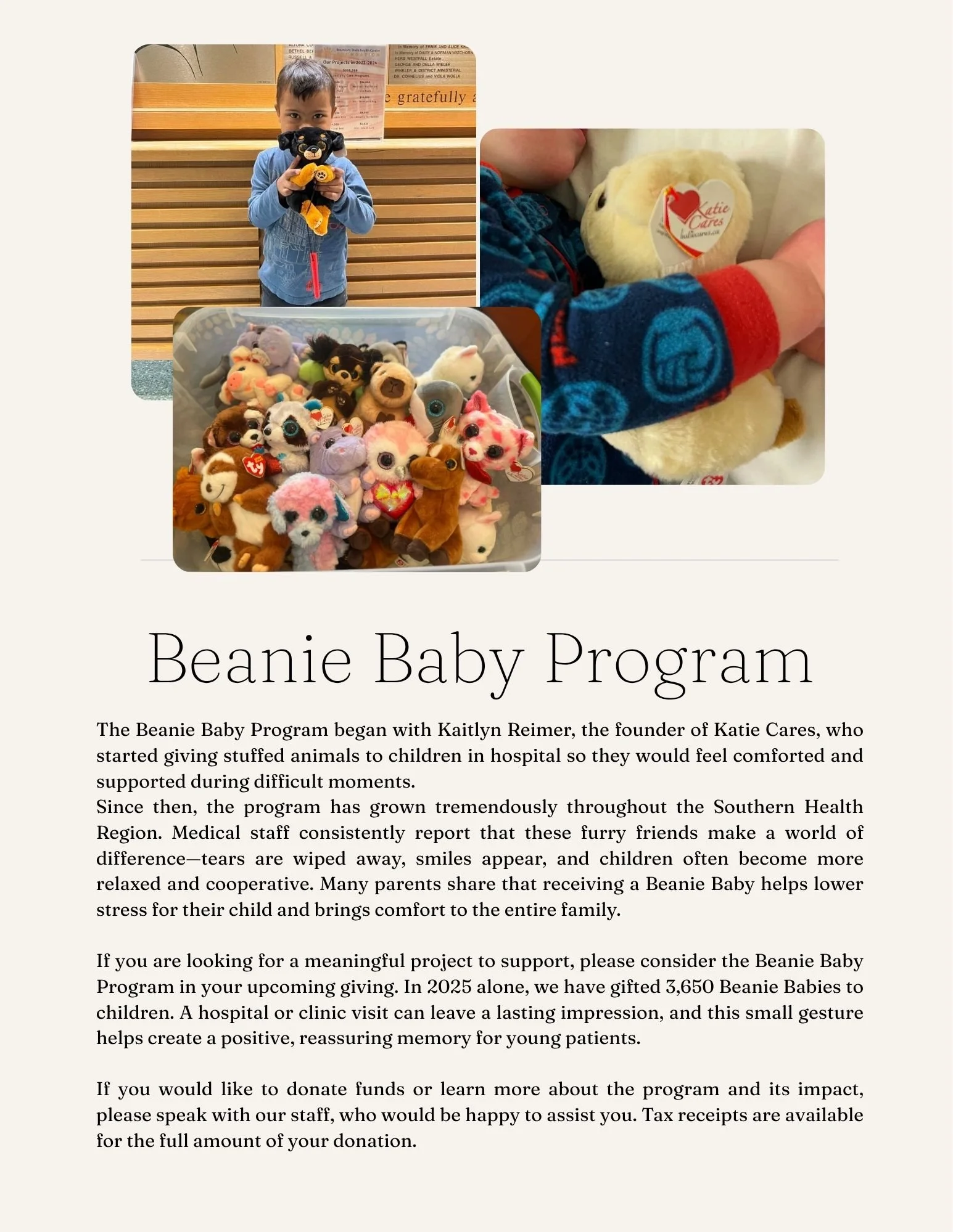 8 - Beanie Baby Program.jpg