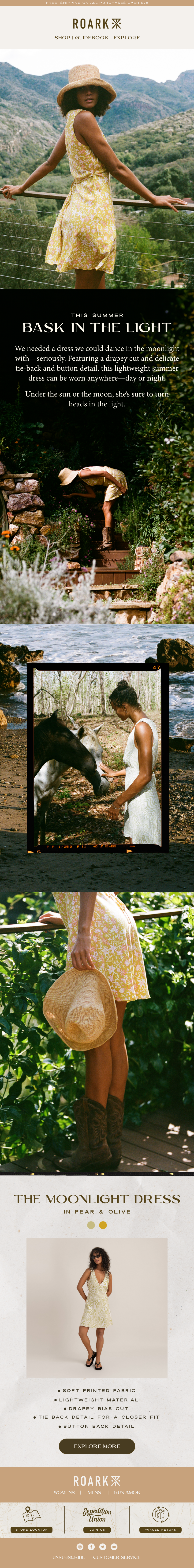 MOONLIGHT NEWSLETTER - 1.png