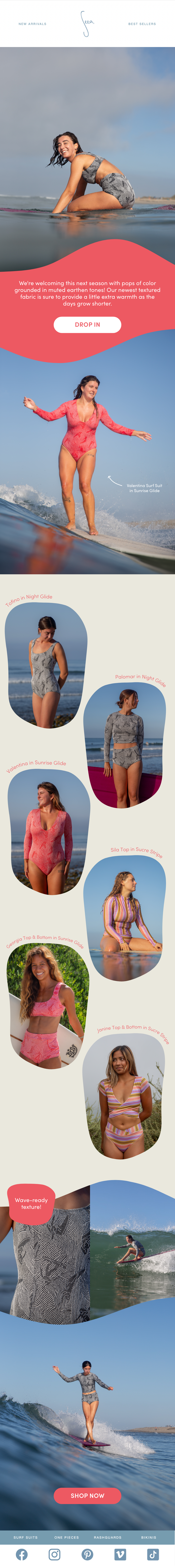 SEEA - TEST NEWSLETTER – 6.png