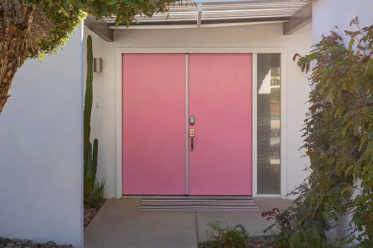 Mid mod pink door with cactus and textured glass side window