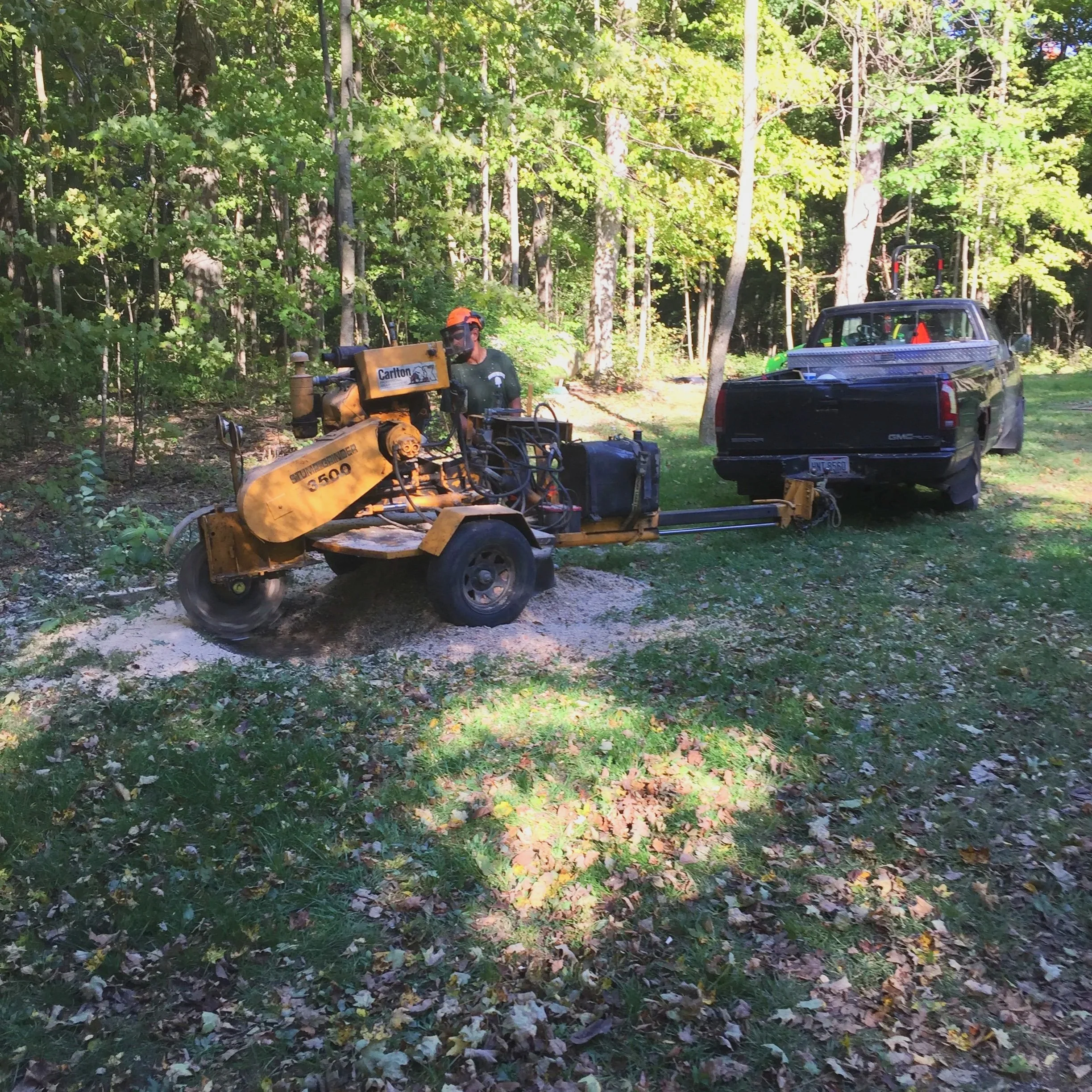 A worker using a yellow stump grinder to cut a tree stump in a grassy, wooded backyard area.