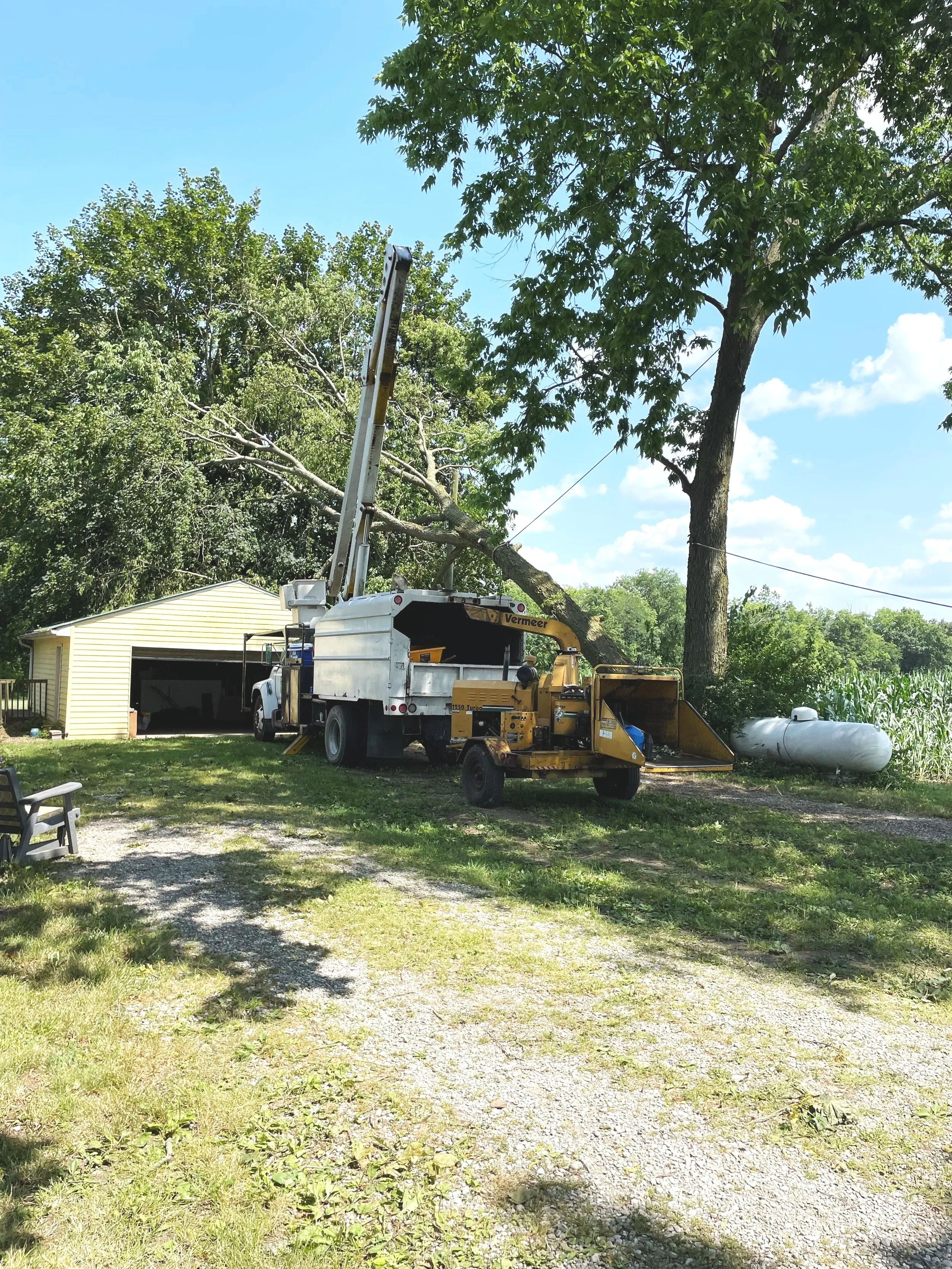 A yard with a gravel driveway, a yellow utility vehicle, a utility pole with wires, a large tree, a windmill, and a yellow shed.