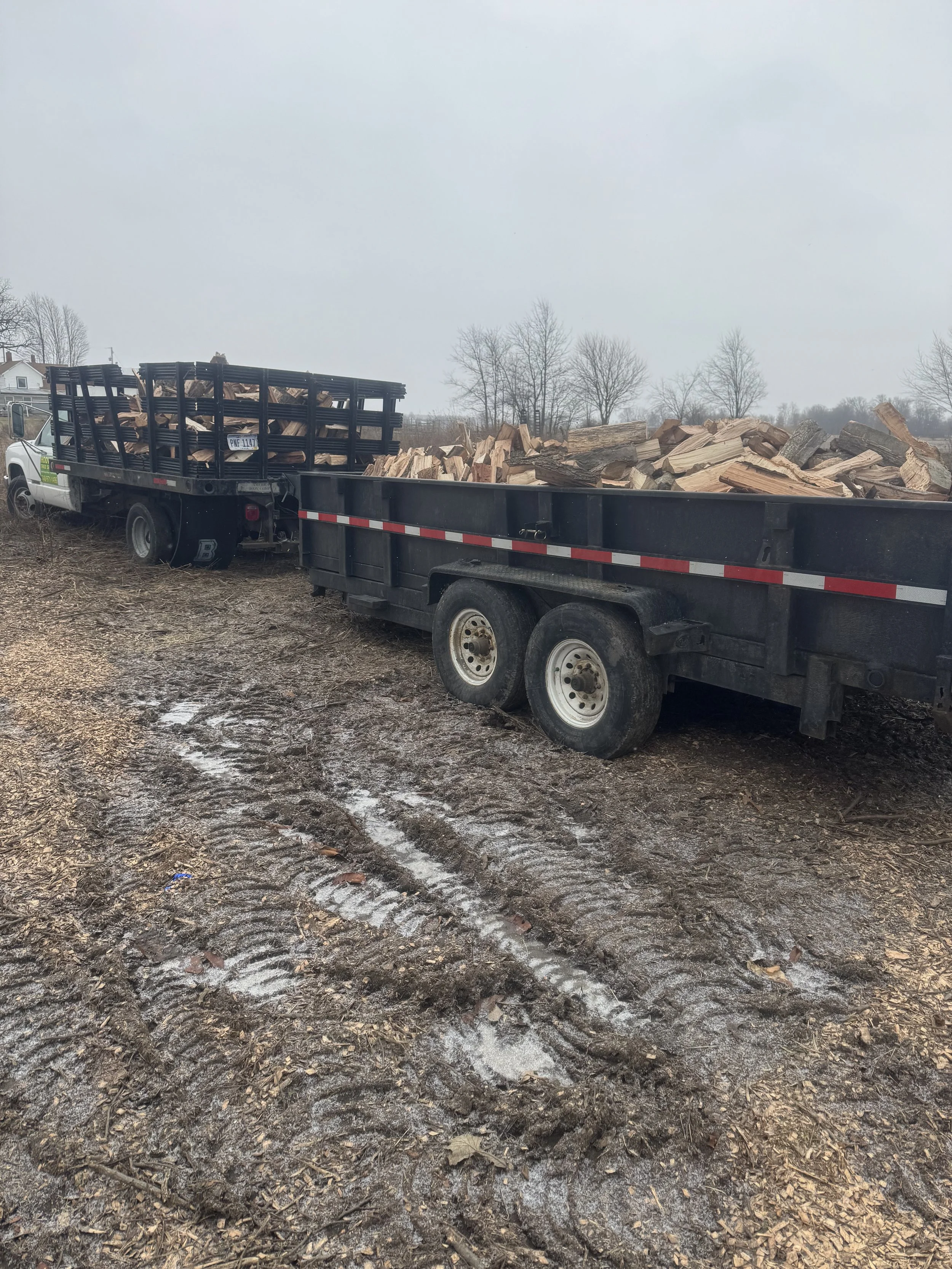 A truck with a flatbed trailer loaded with chopped wood logs, parked on muddy ground with tire tracks in the dirt.