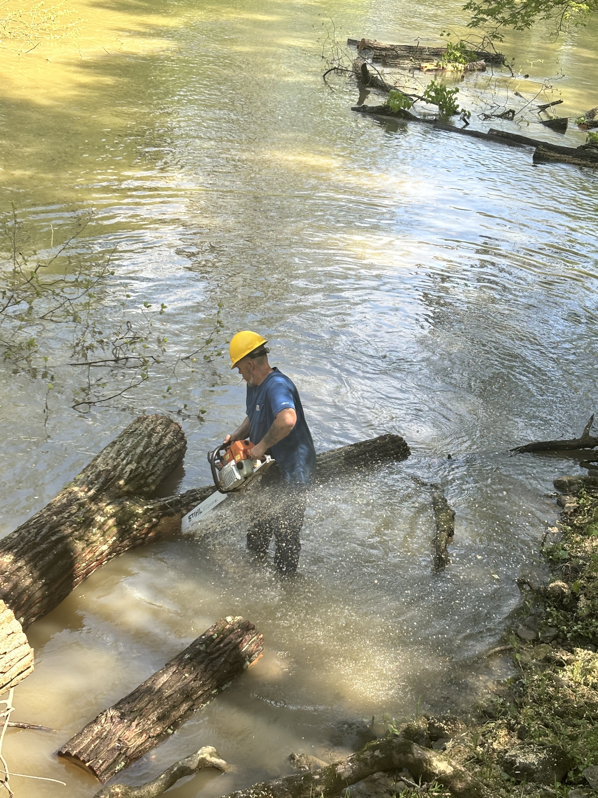 A man wearing a yellow helmet and blue shirt is cutting a fallen tree with a chainsaw near a riverbank. The river water is muddy and has some branches and logs, including a large fallen log in the water.