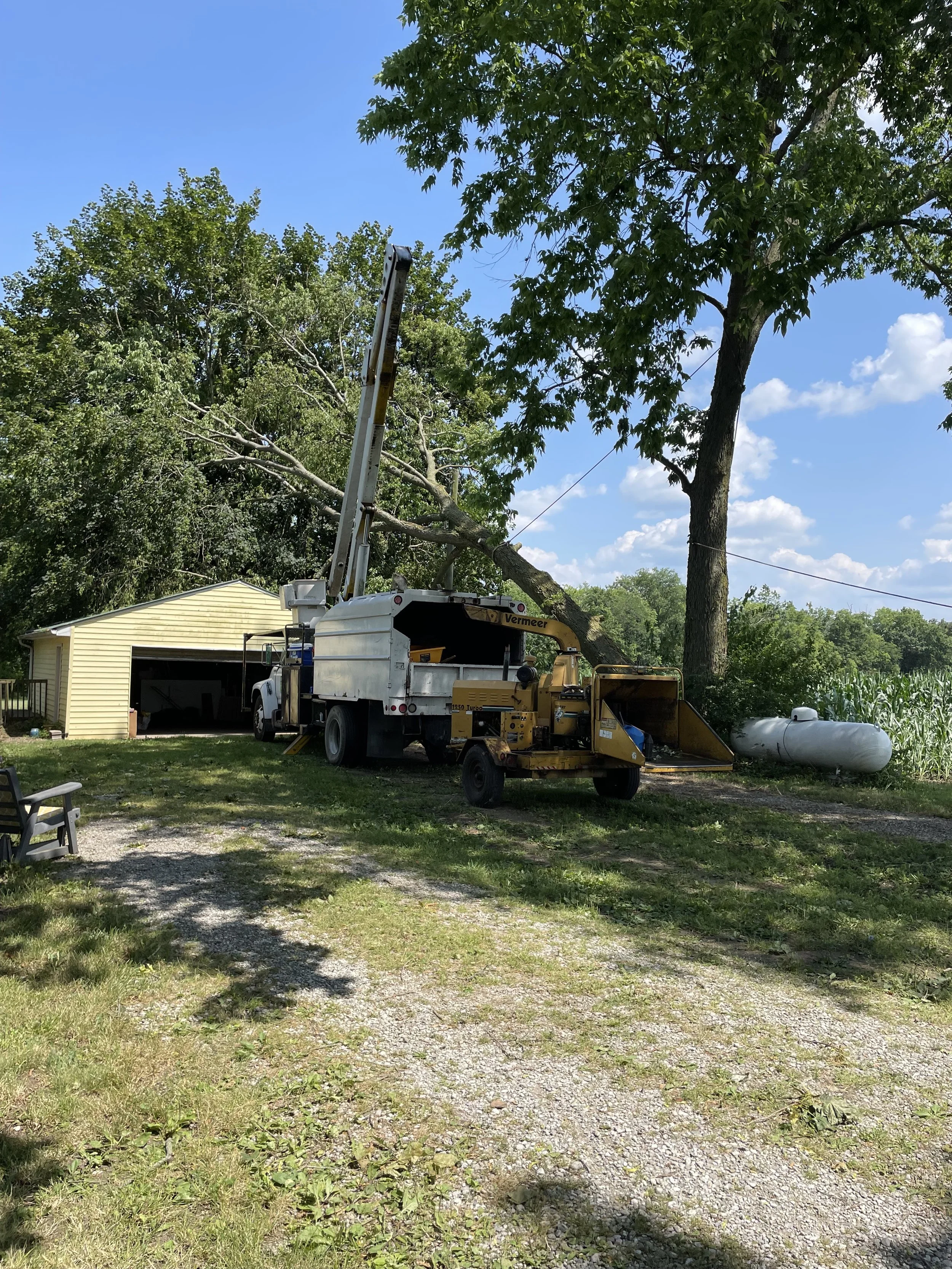 A utility vehicle with a crane is working on trimming or cutting a large tree in a yard. There is a yellow shed in the background, a grassy area with gravel, and a propane tank near some crops. The sky is clear and sunny.
