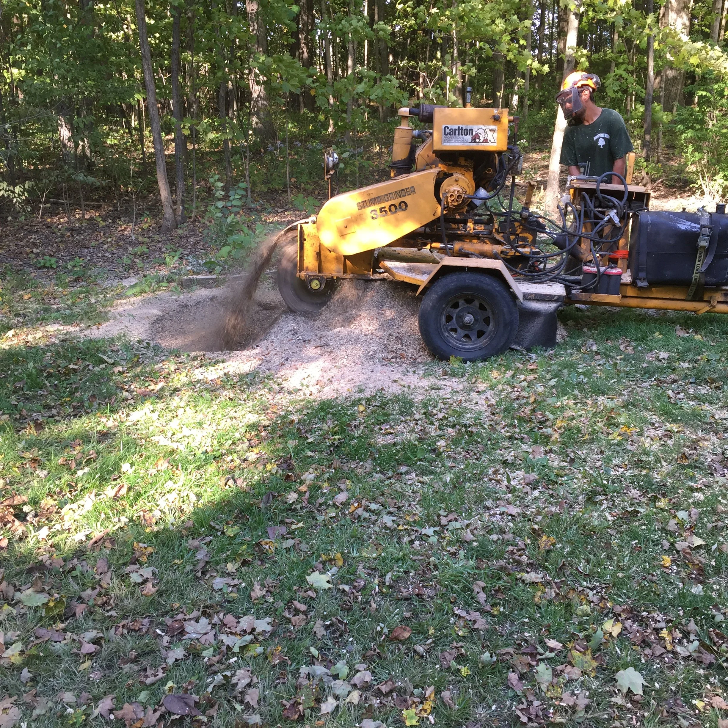 A person operating a yellow stump grinder machine in a wooded area, grinding down a tree stump.