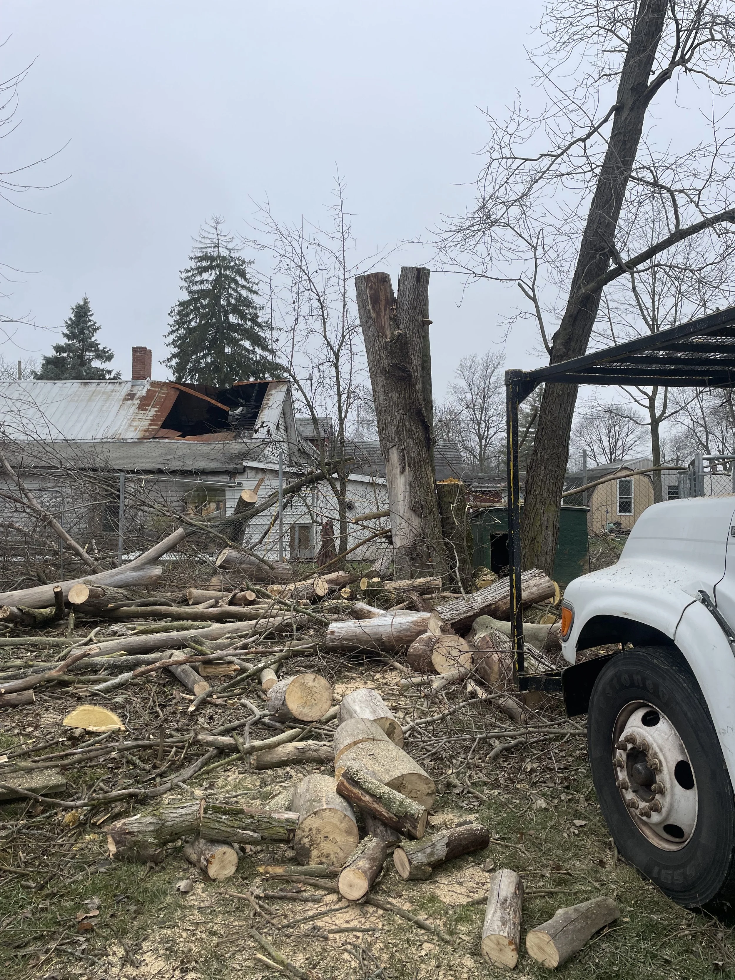 Tree fallen on damaged house roof with broken tree and chopped logs on ground; white utility truck in yard.