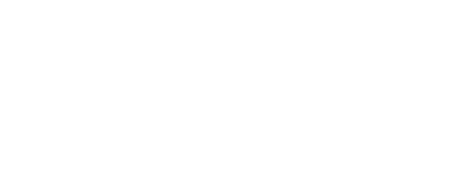 FIGHTMASTER