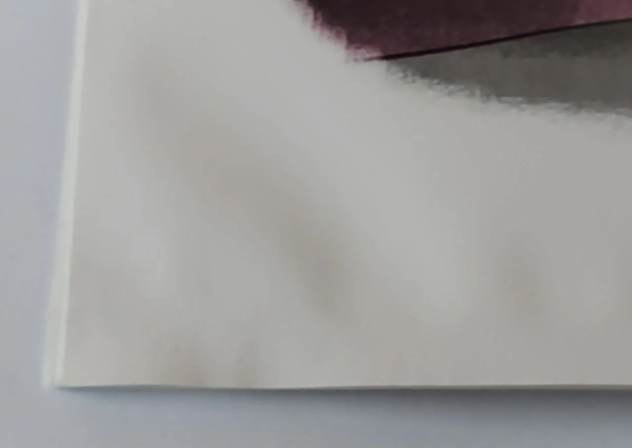 pgse butt damaga again.jpg