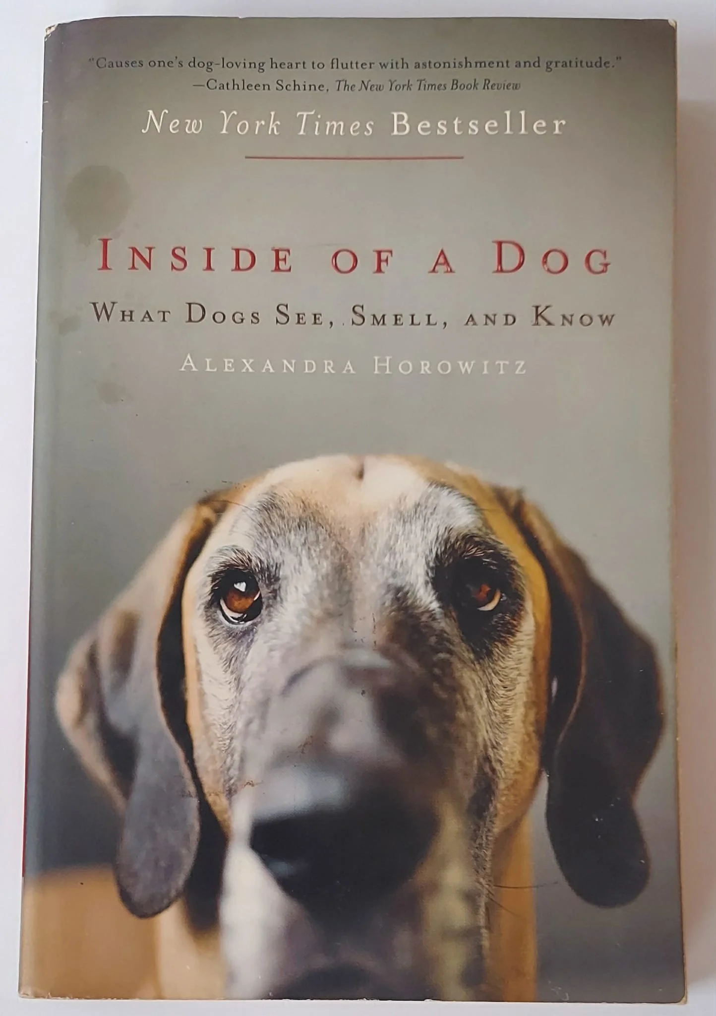 pgse inside front.jpg