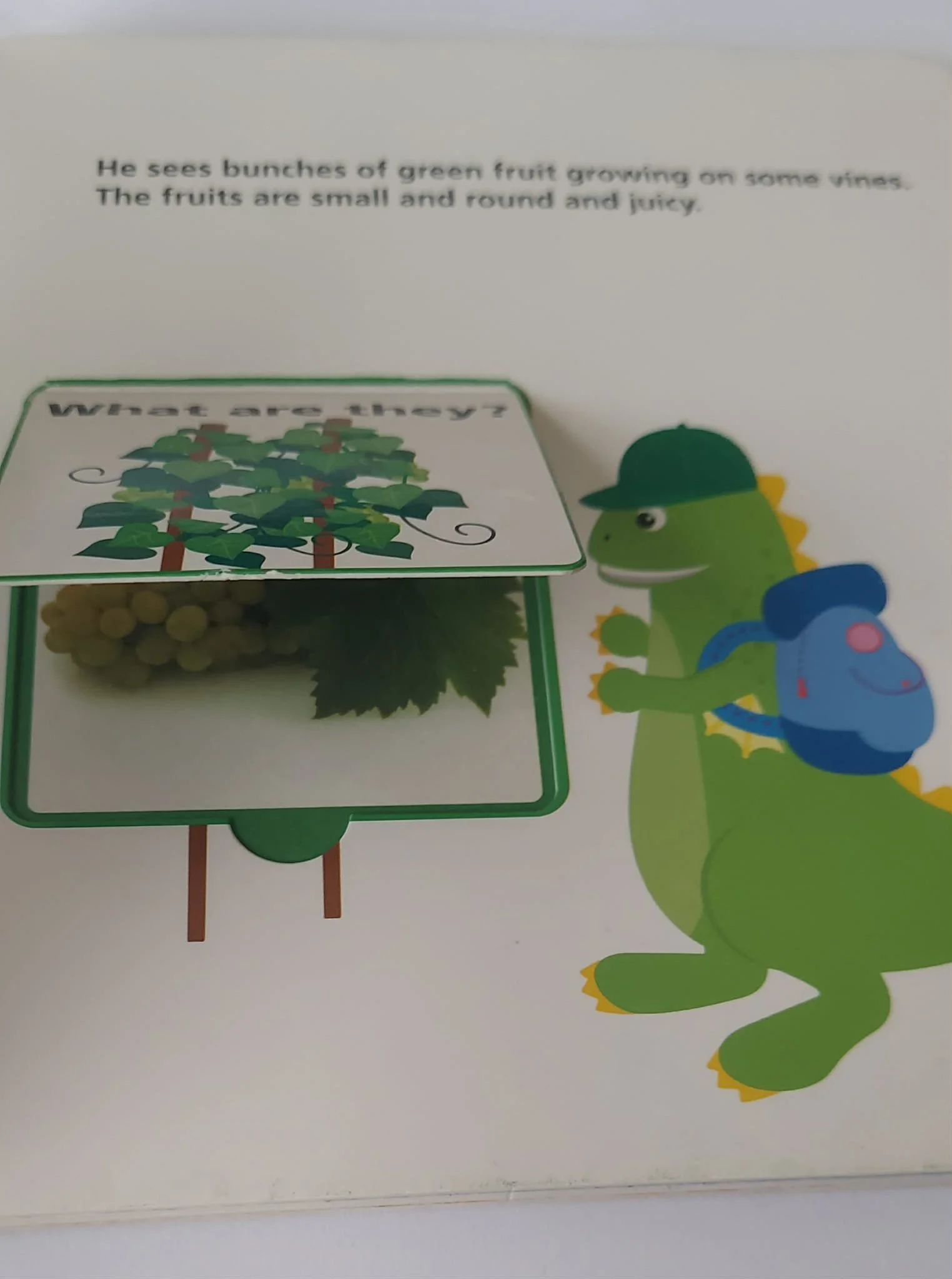 pgse yummy inside flap.jpg