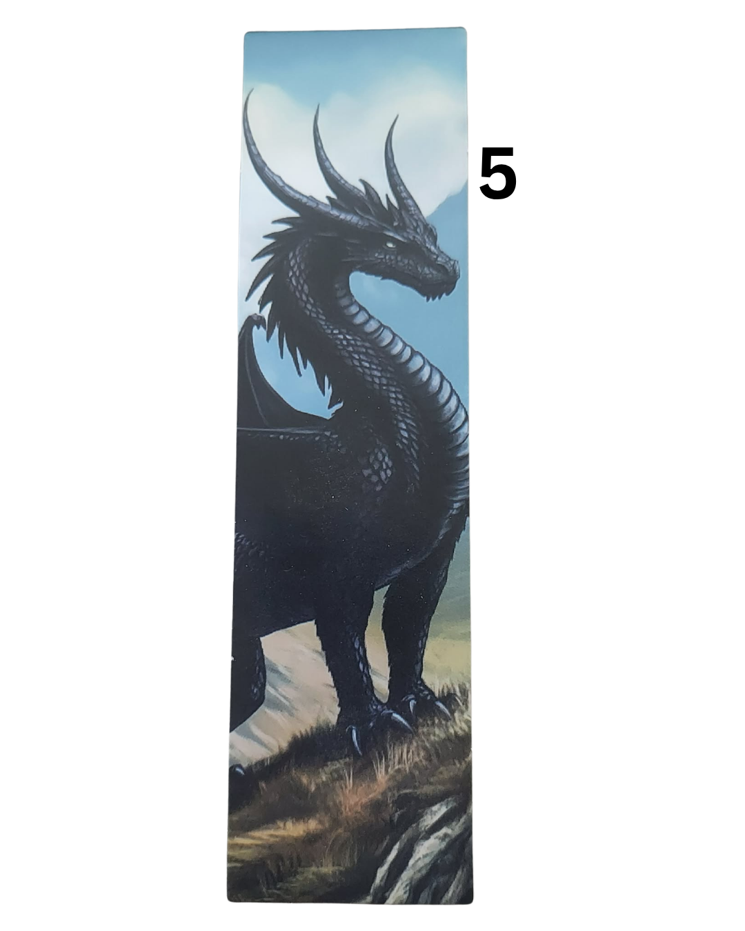 5 (1).png