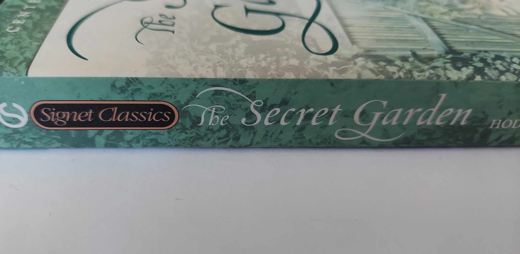 pgse secret spine.jpg