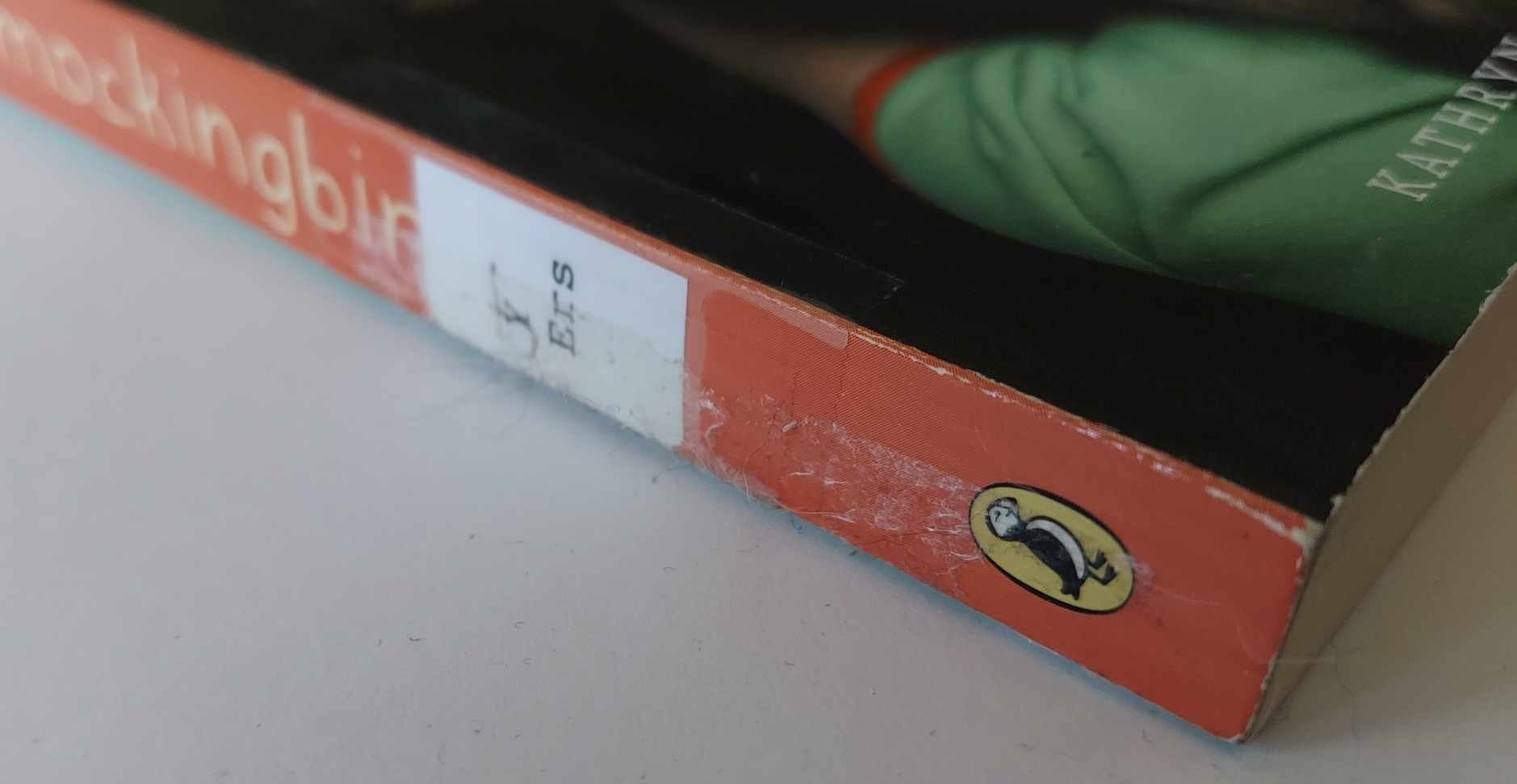 pgse mocking spine.jpg