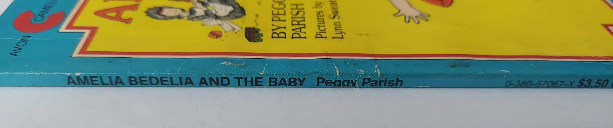 pgse amelia bedelia spine.jpg