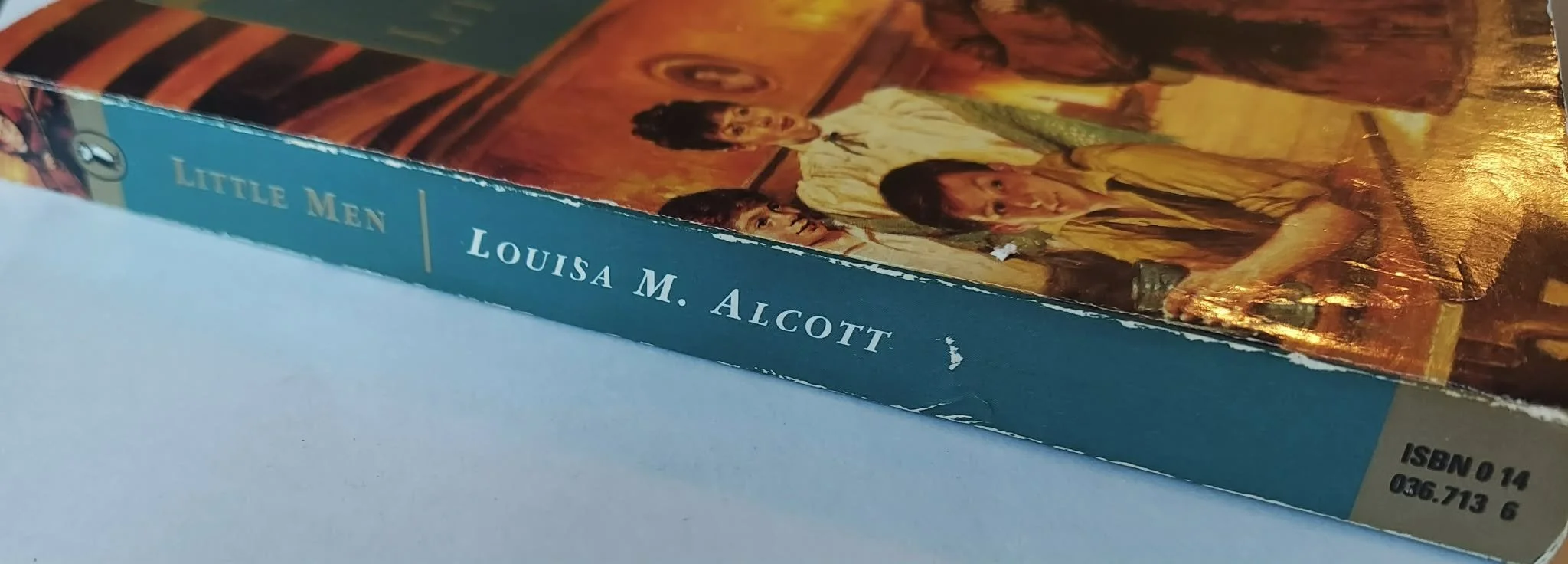 pgse little spine.jpg