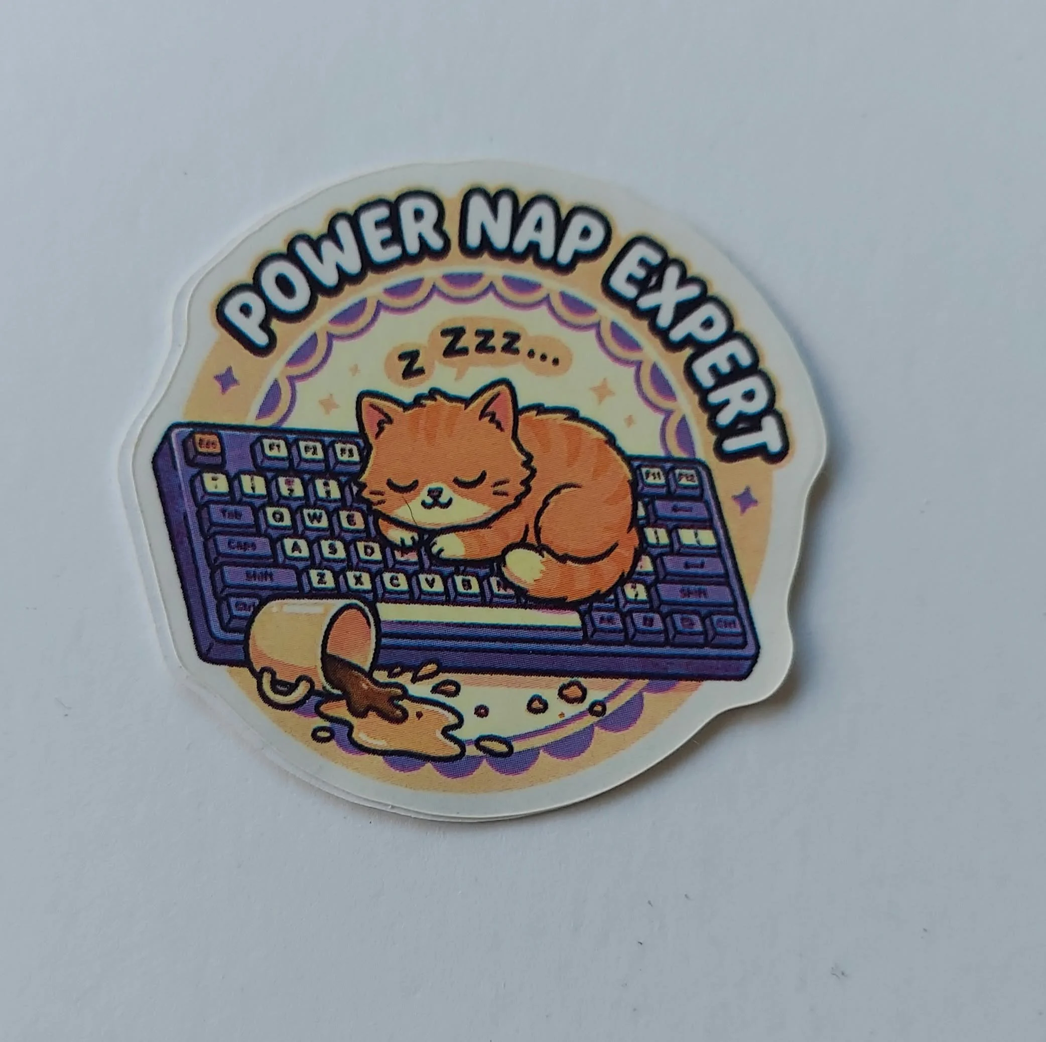 pgse power nap.jpg
