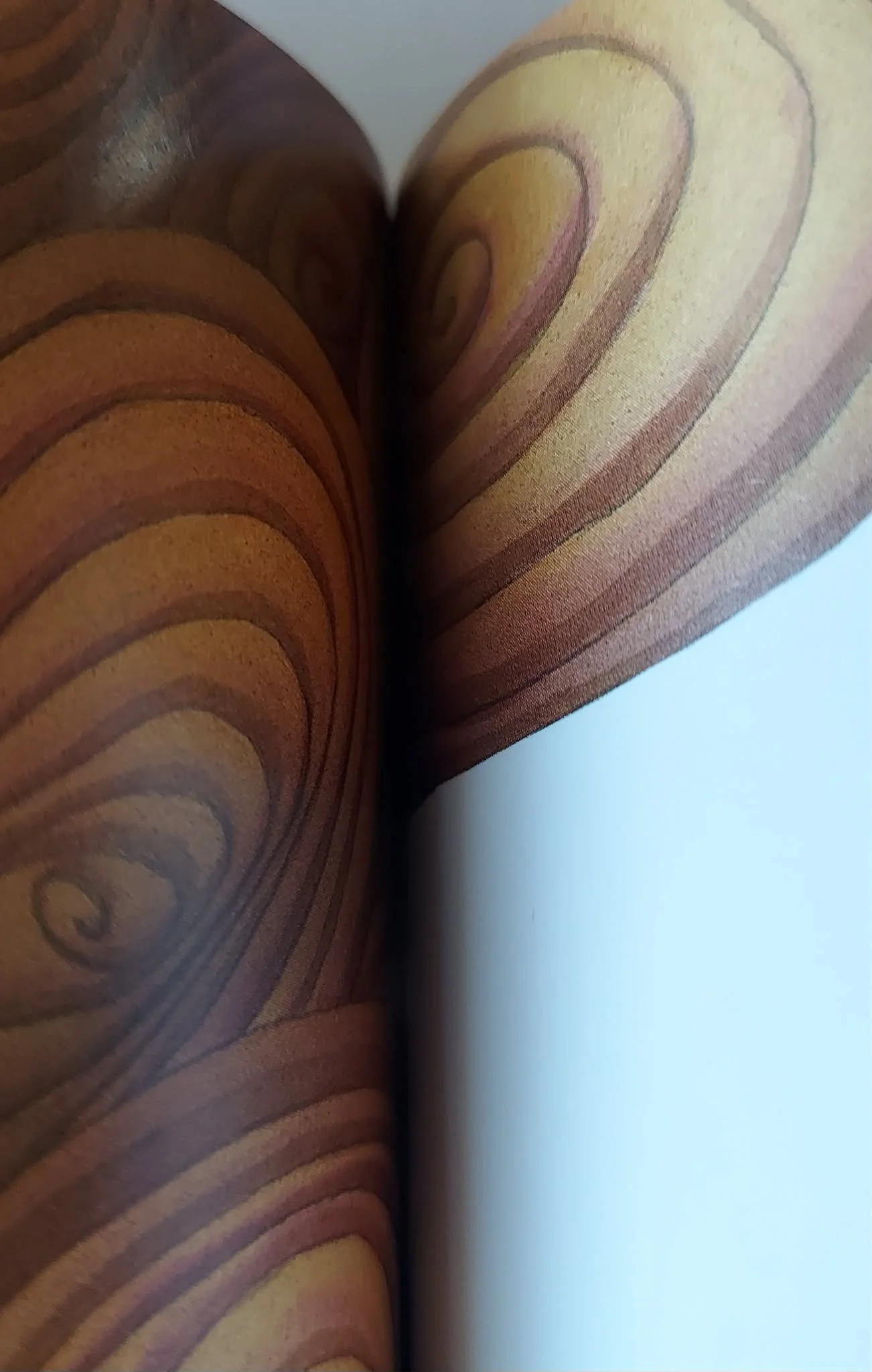 pgse star inside.jpg