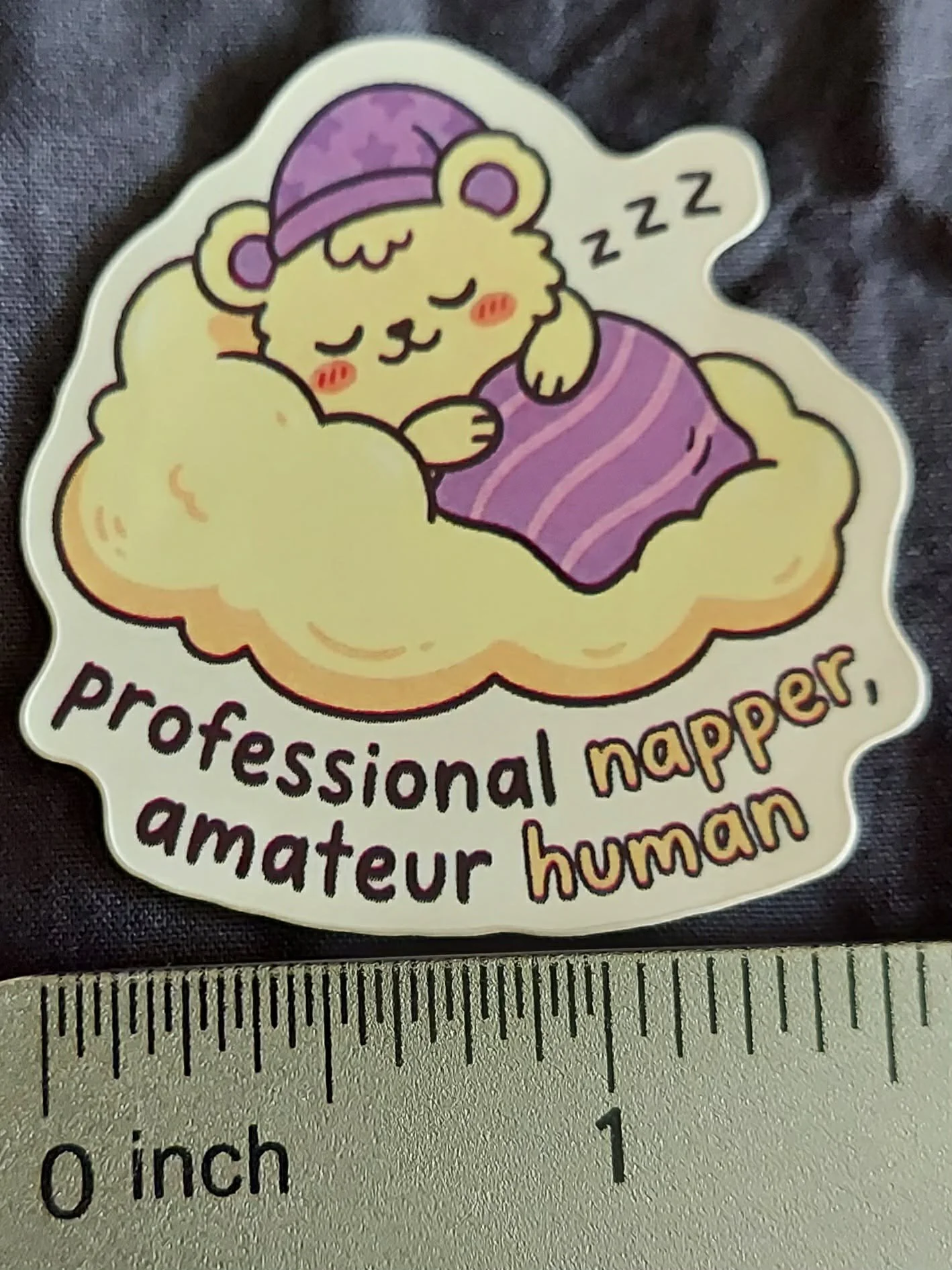 professional bottom.jpg