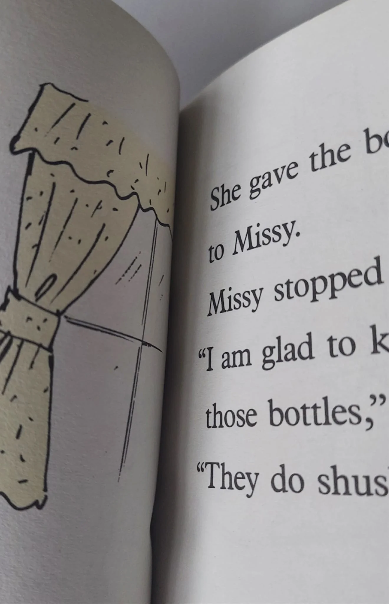 pgse amelia bedelia inside.jpg