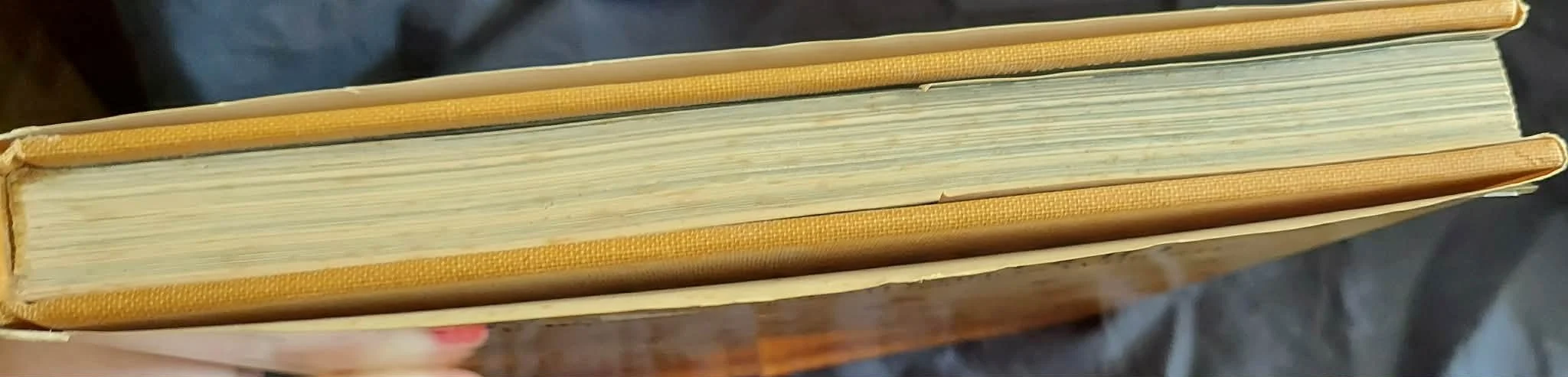 1000001961.jpg