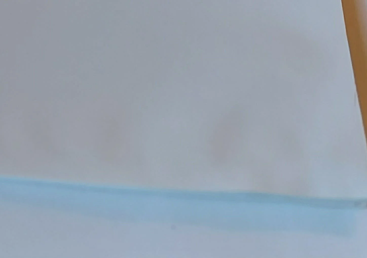 pgse butt damage.jpg