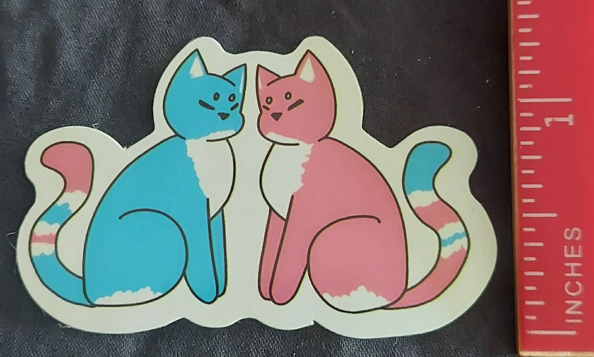 cats side.jpg